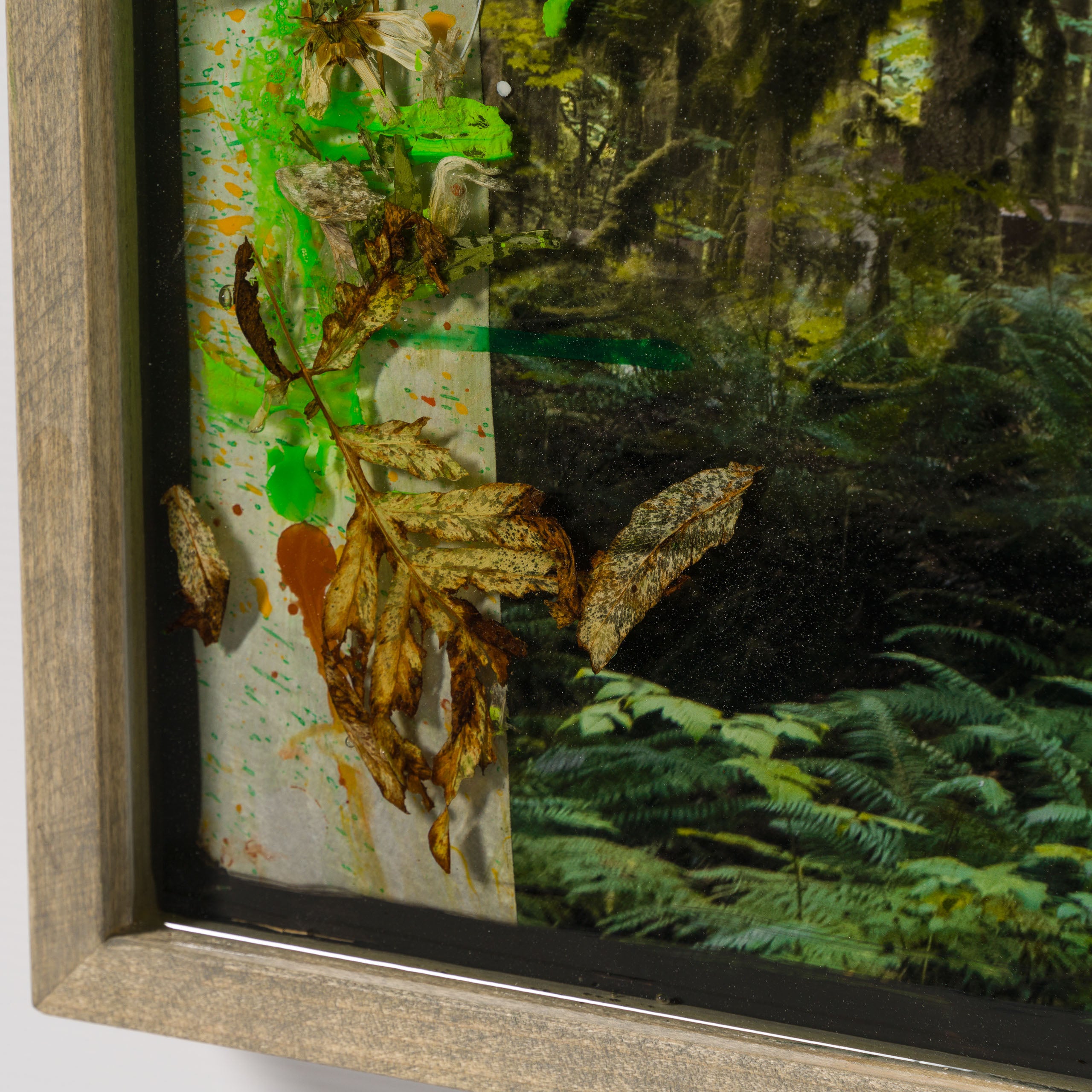 Product image 3 for raphael-mazzucco-mossy-abandon-original