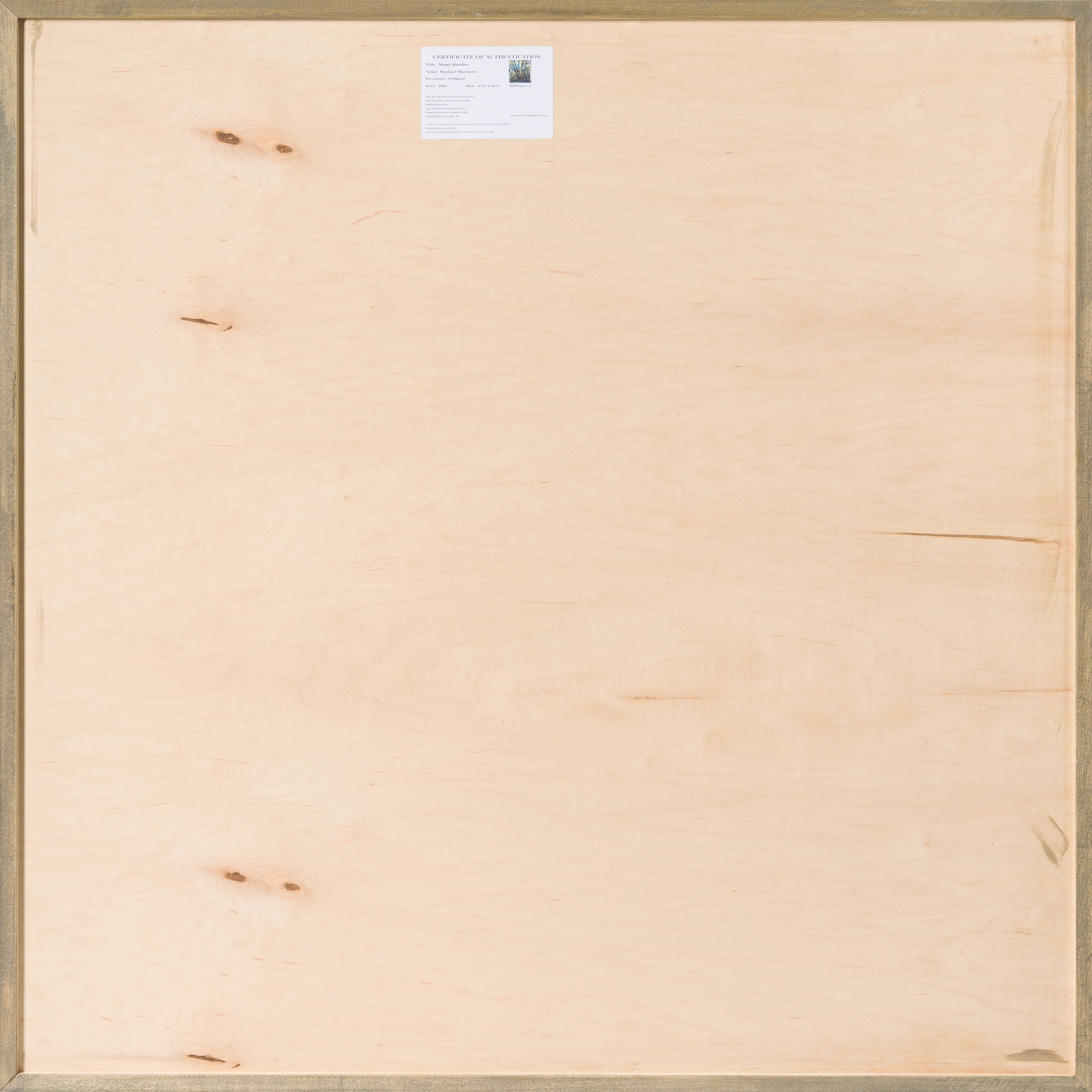 Product image 2 for raphael-mazzucco-mossy-abandon-original