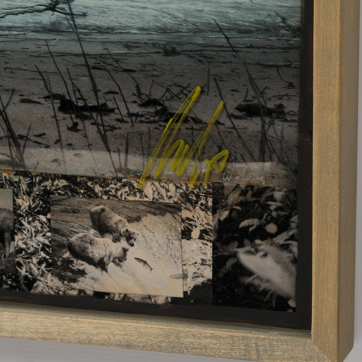 Product image 1 for raphael-mazzucco-motherland-original