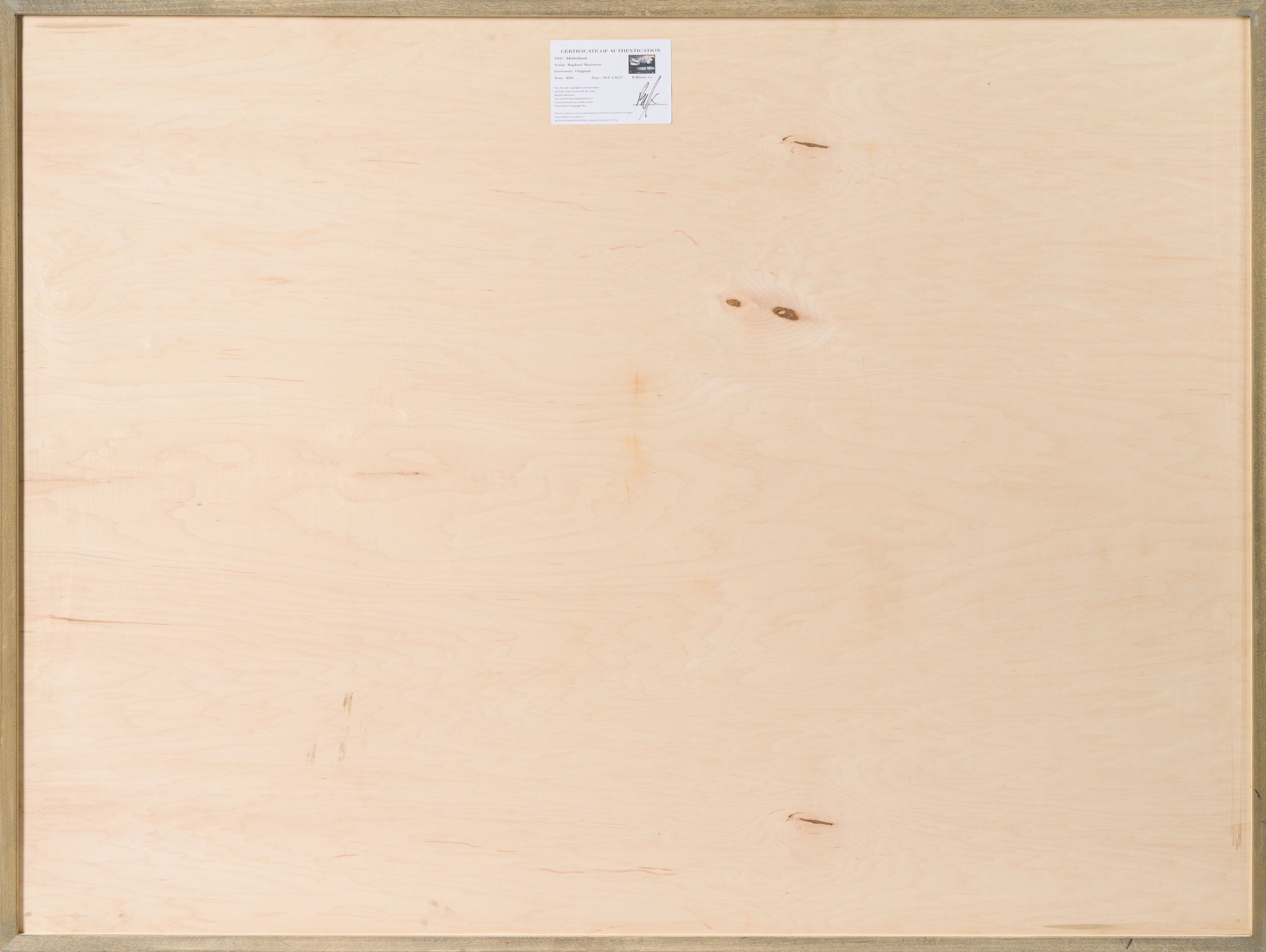 Product image 3 for raphael-mazzucco-motherland-original