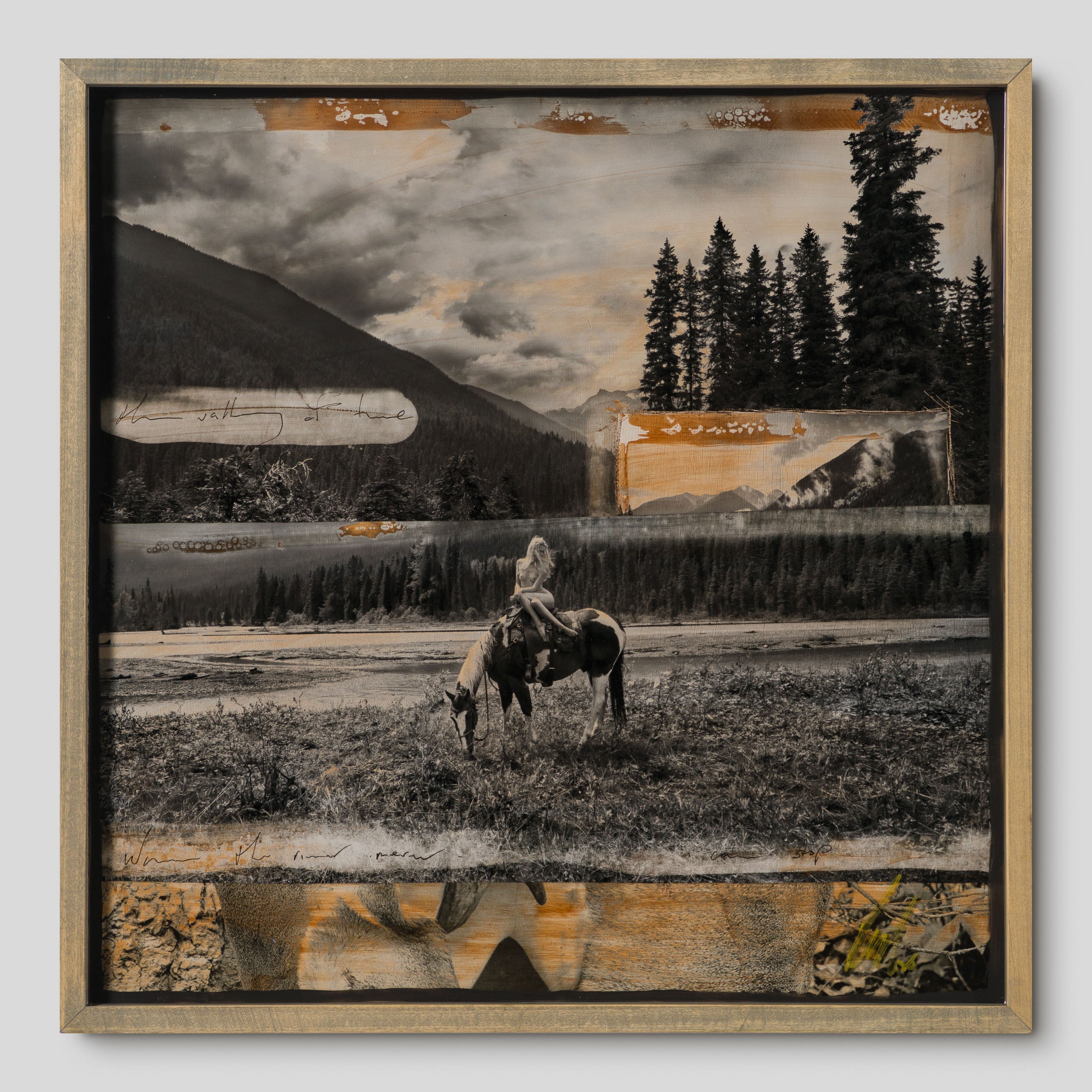 MAZ ORI POR 32921 Noble Wild 1 