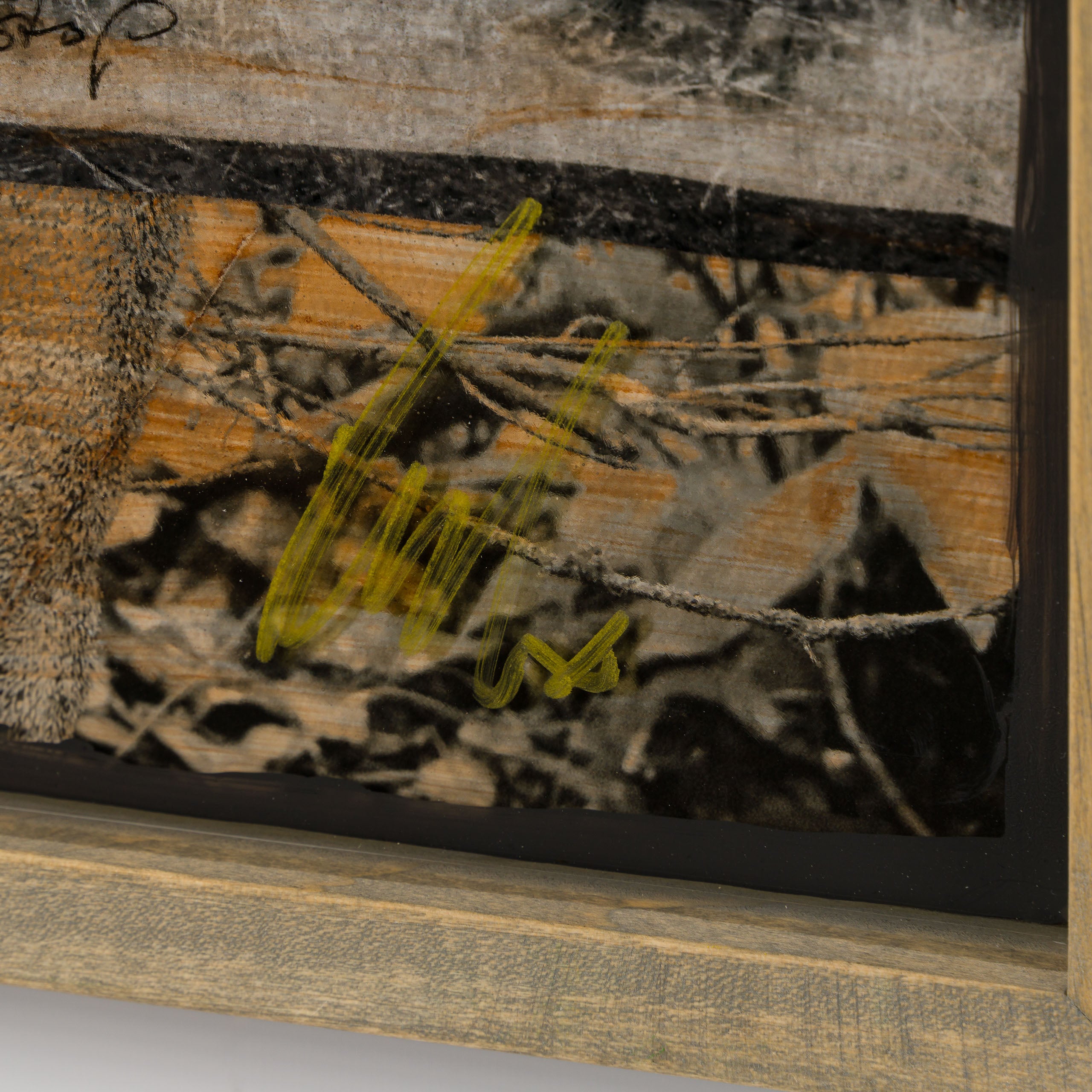 Product image 1 for raphael-mazzucco-noble-wild-original