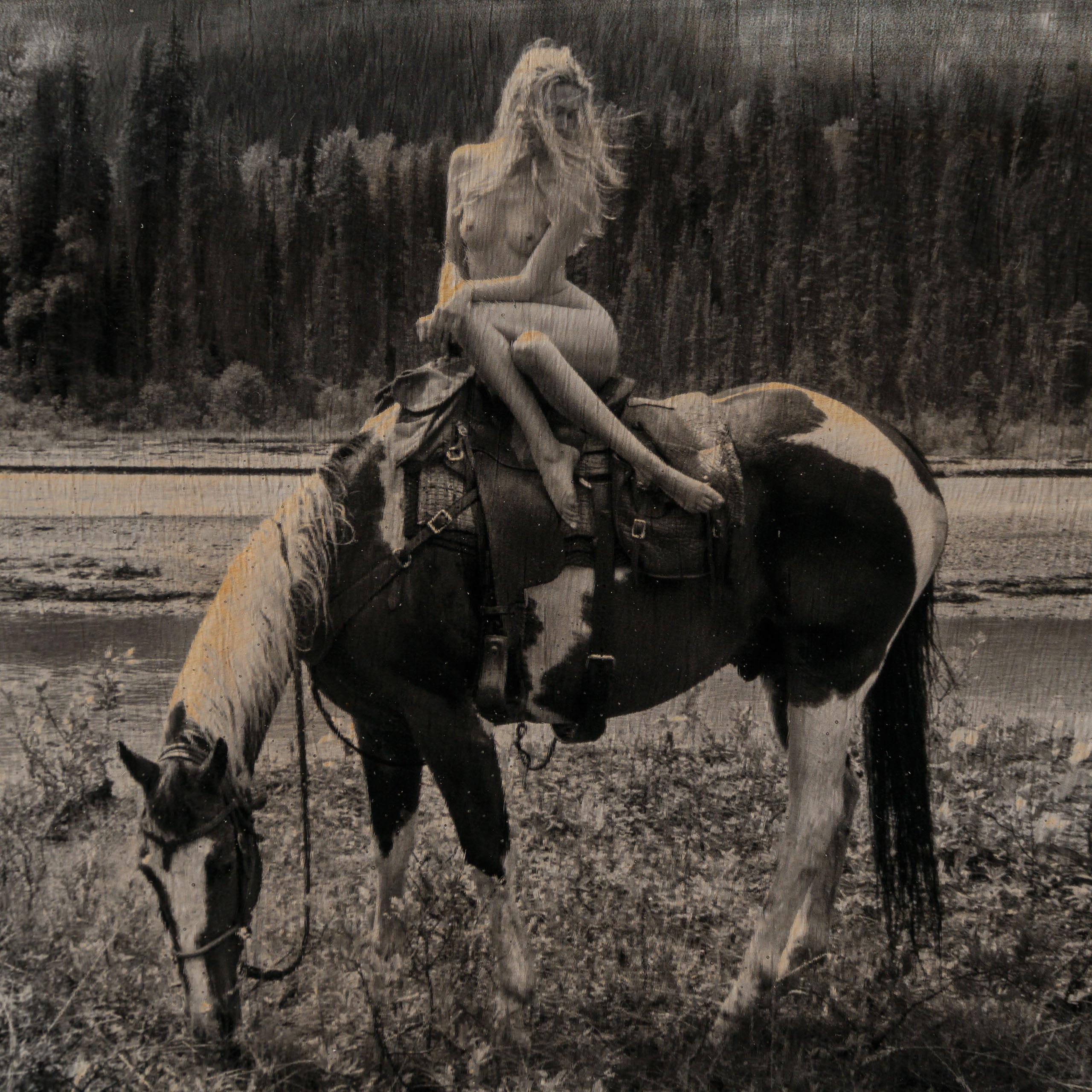 MAZ ORI POR 32921 Noble Wild 4 