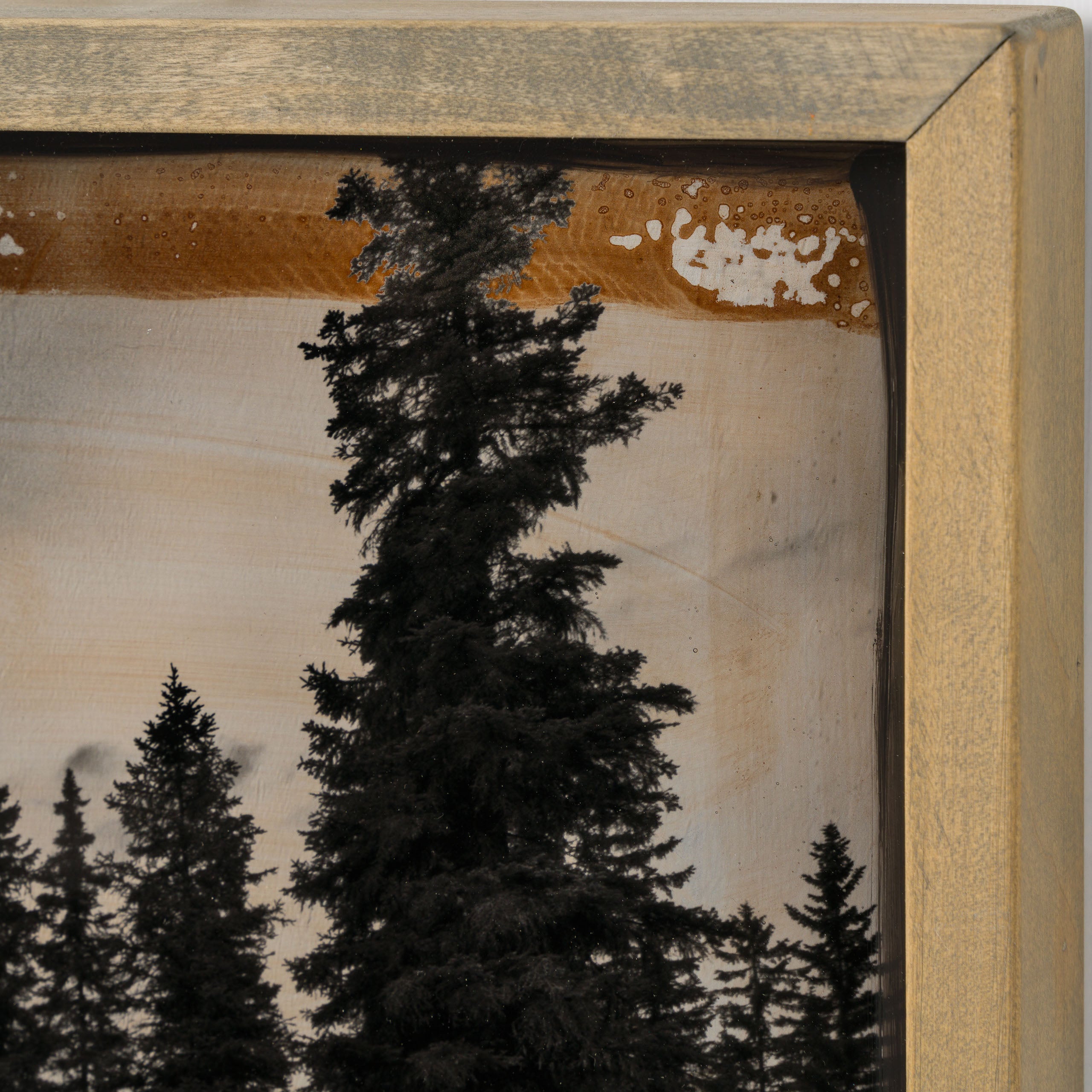 Product image 3 for raphael-mazzucco-noble-wild-original