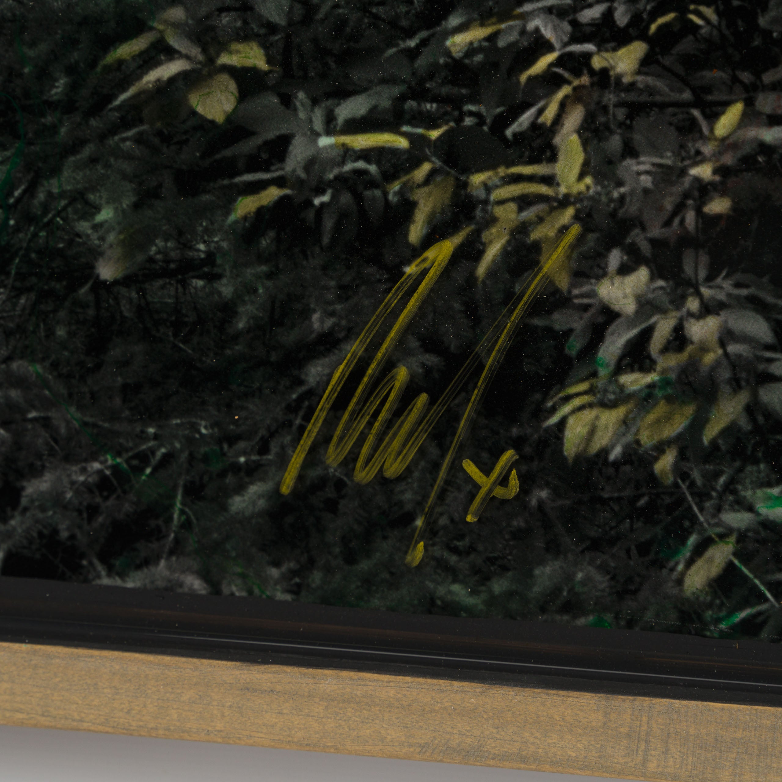 MAZ ORI POR 32922 Northern Reflection 3 