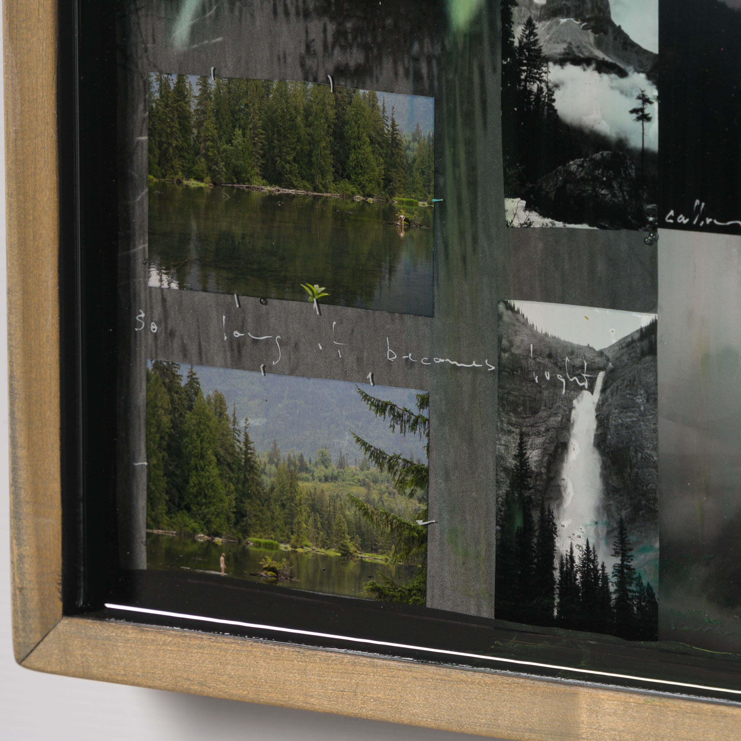 MAZ ORI POR 32922 Northern Reflection 5 