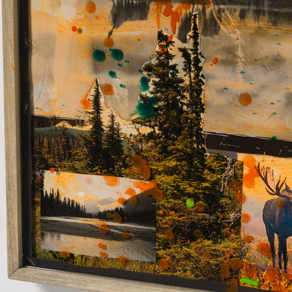 MAZ ORI POR 32930 Wander In Wonder 5 