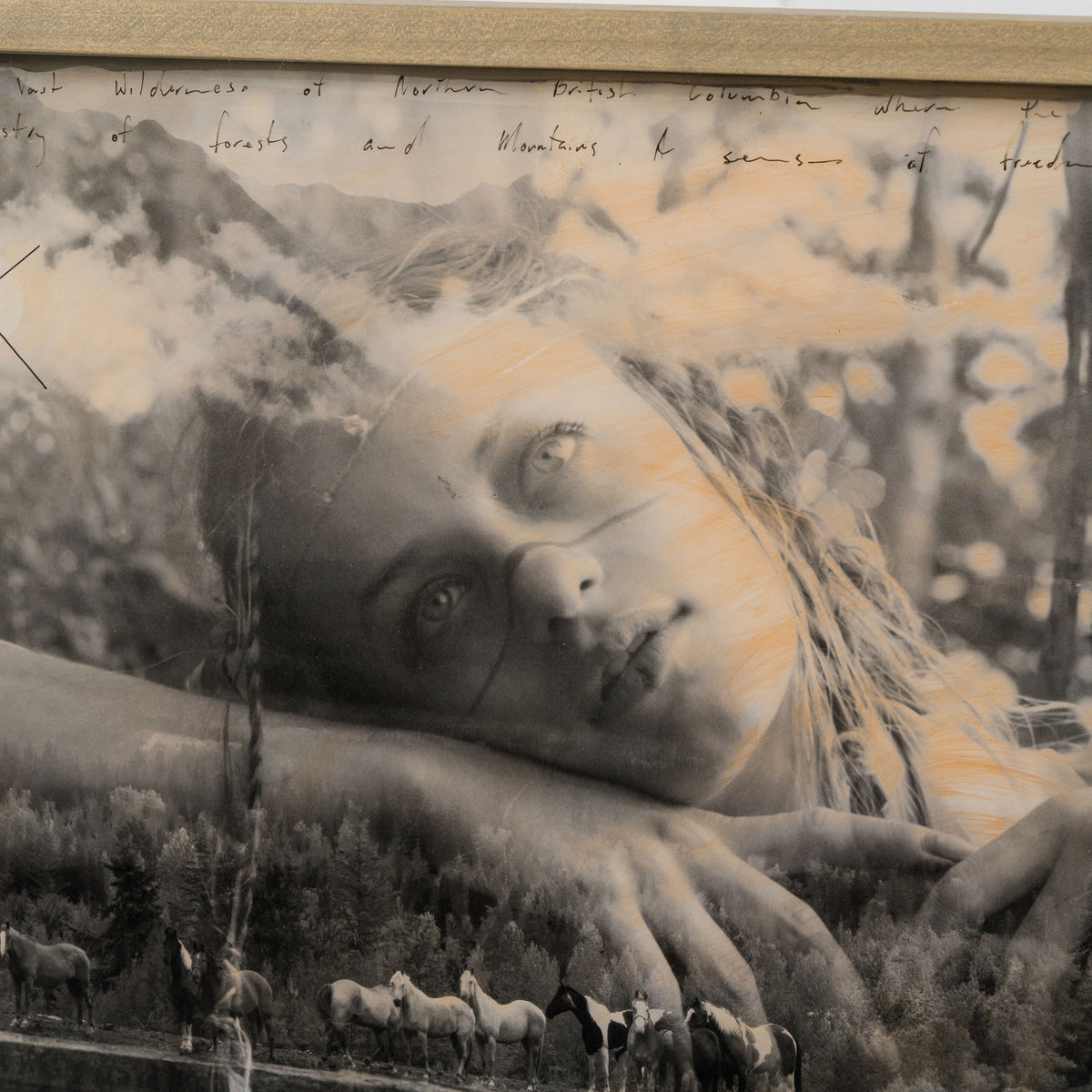 MAZ ORI POR 33724 Bound in Harmony 4 