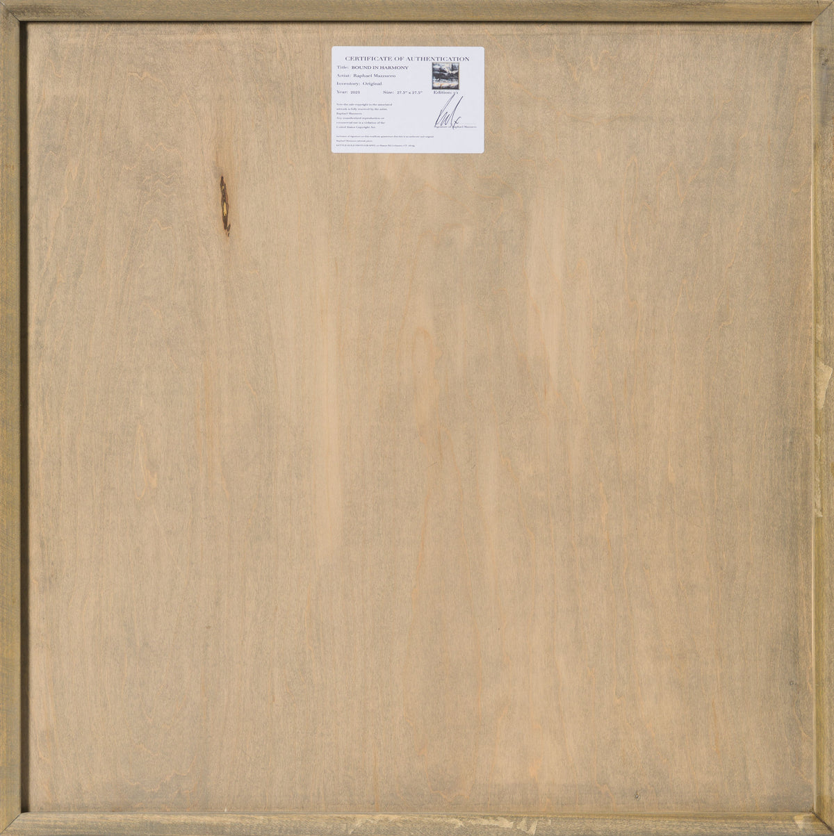 Product image 3 for raphael-mazzucco-bound-in-harmony-original