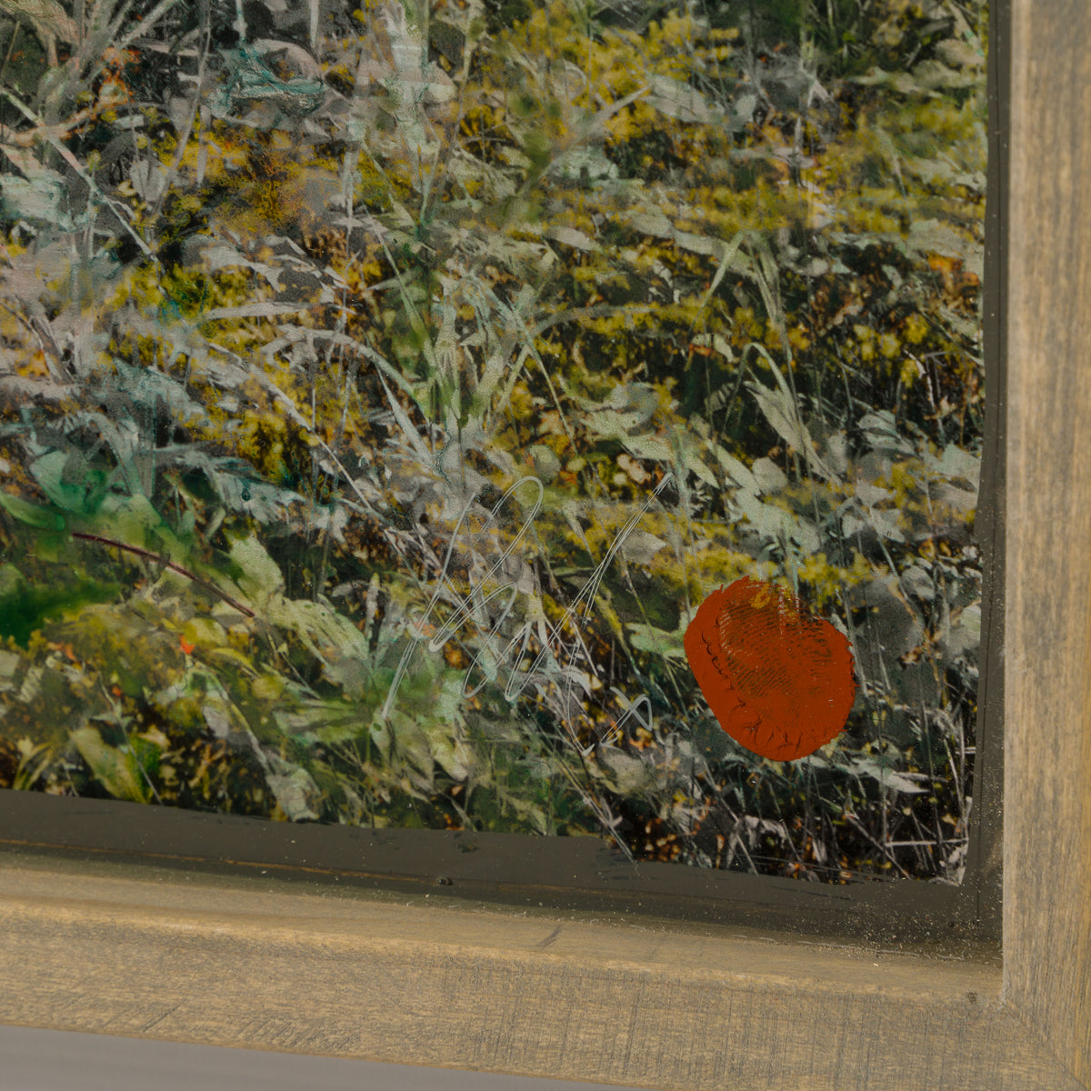 Product image 1 for raphael-mazzucco-garden-of-secrets