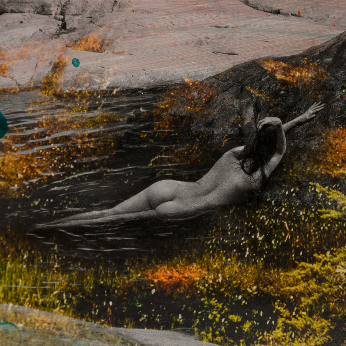 Product image 2 for raphael-mazzucco-garden-of-secrets