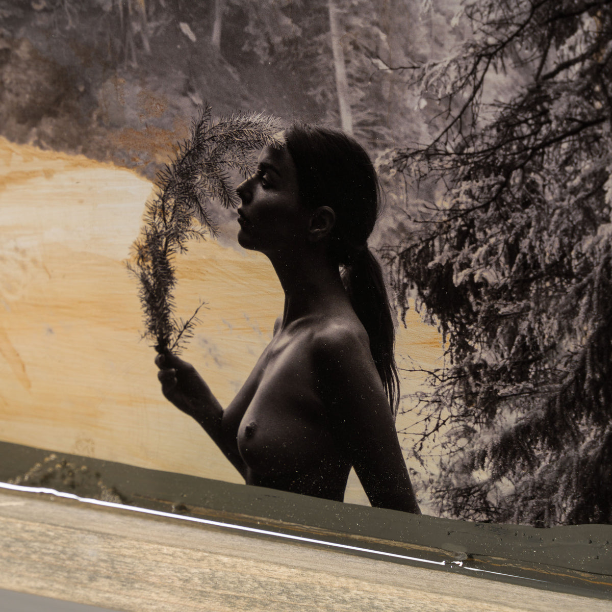 Product image 2 for raphael-mazzucco-jungle-mistress-original
