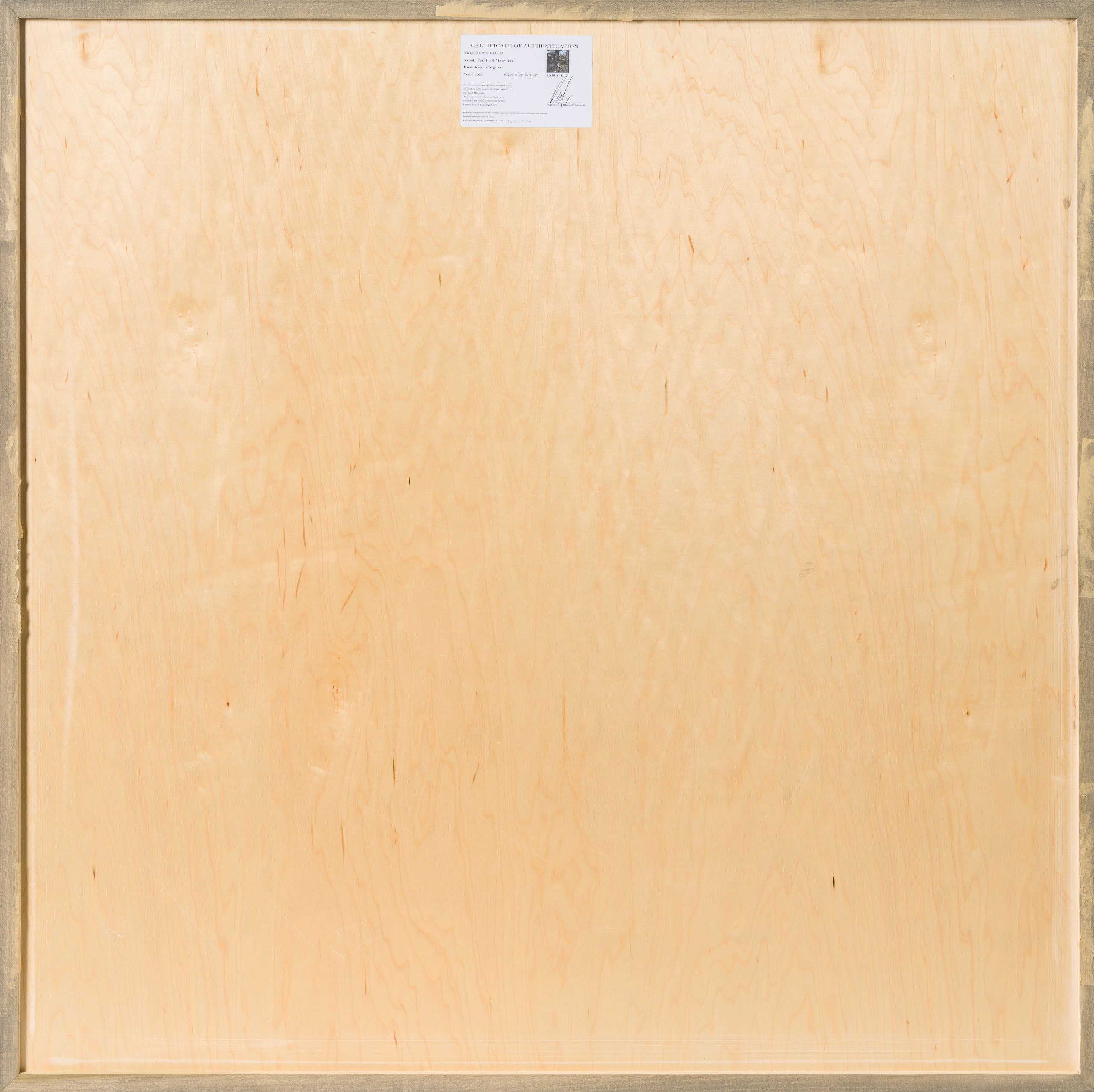 Product image 3 for raphael-mazzucco-lost-loco-original