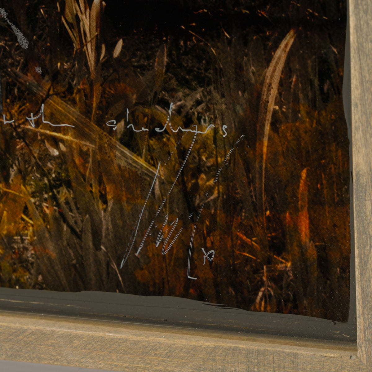 Product image 1 for raphael-mazzucco-paint-by-paint-original