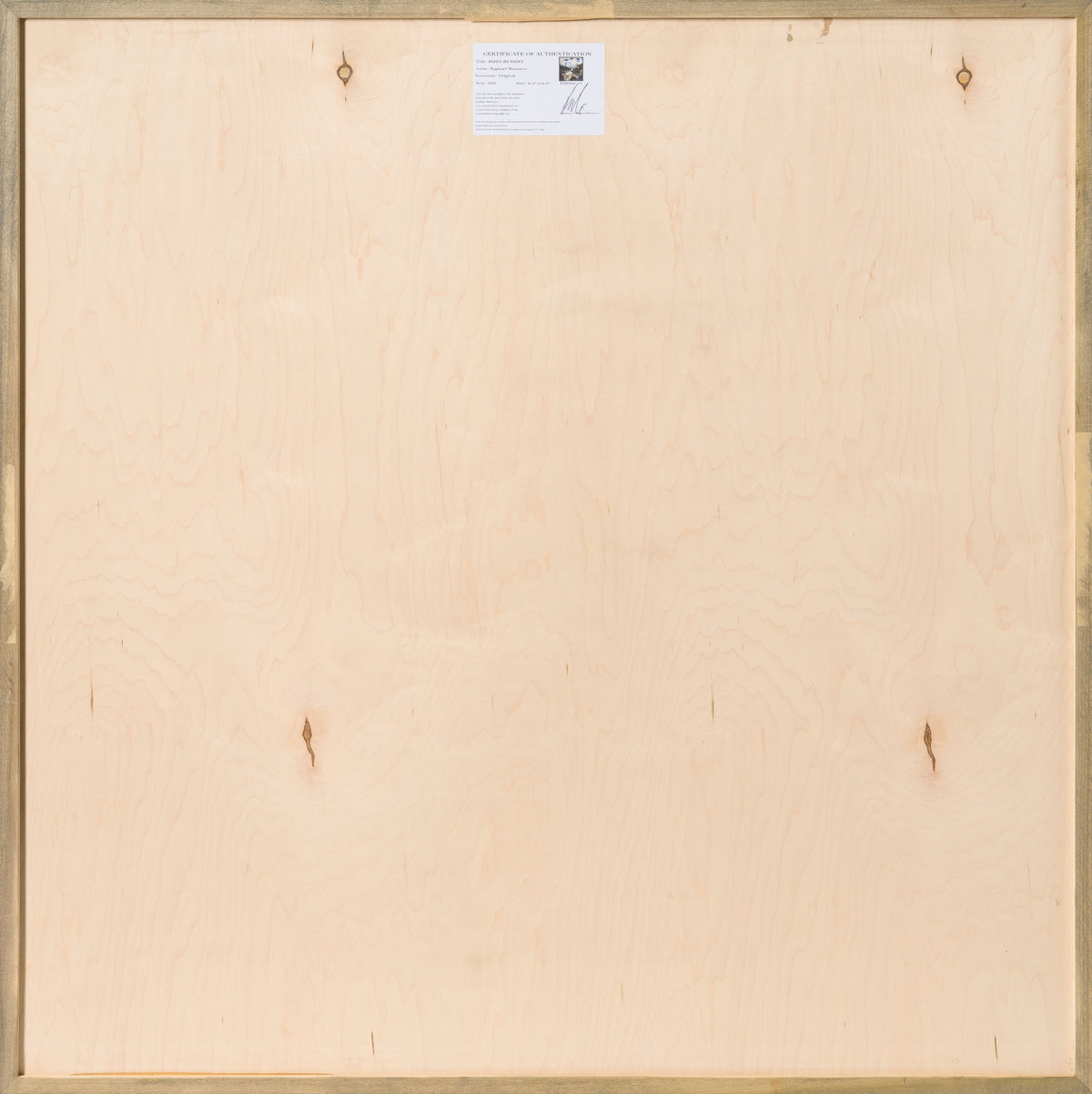 Product image 3 for raphael-mazzucco-paint-by-paint-original