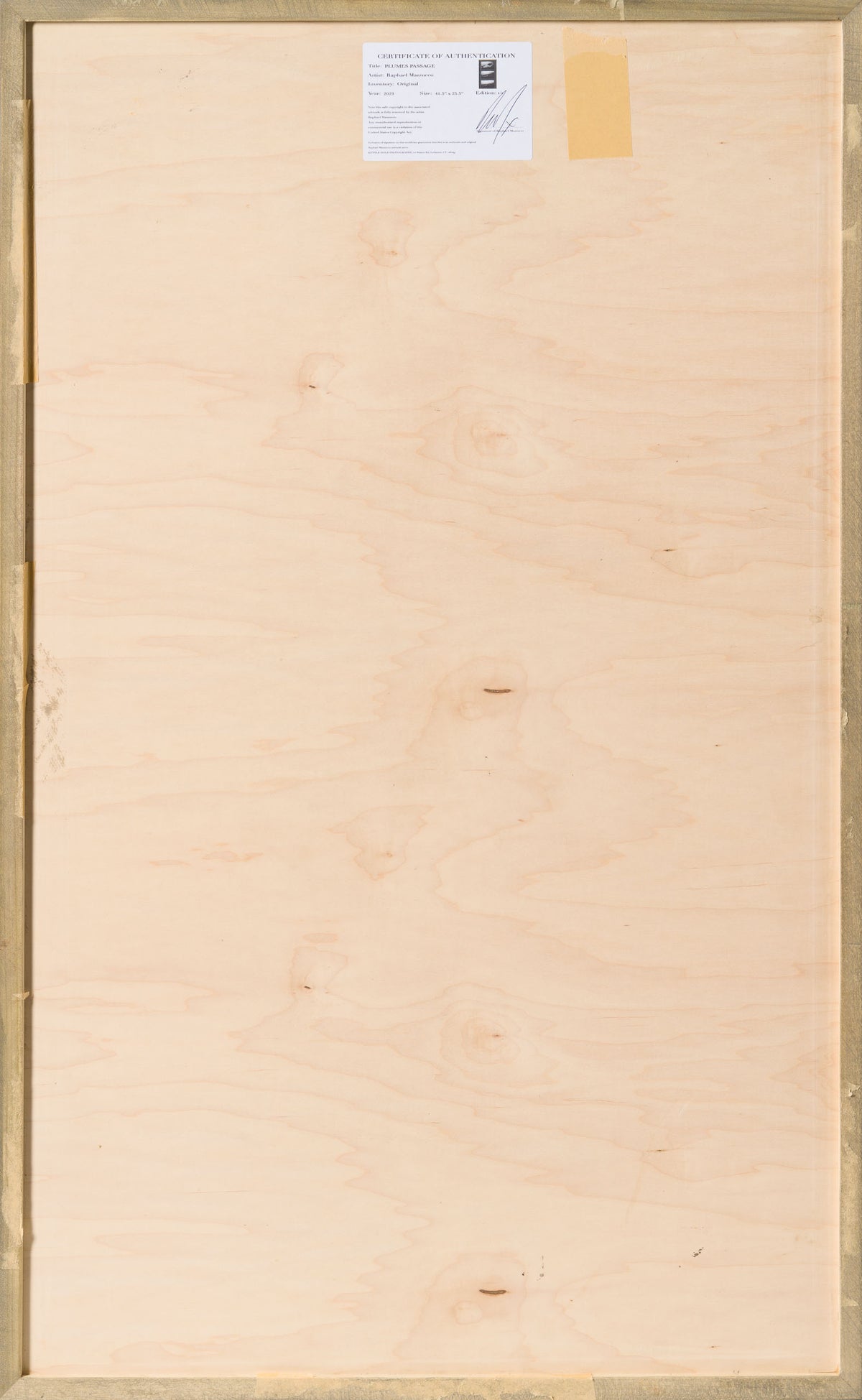 Product image 3 for raphael-mazzucco-plumes-passage-original