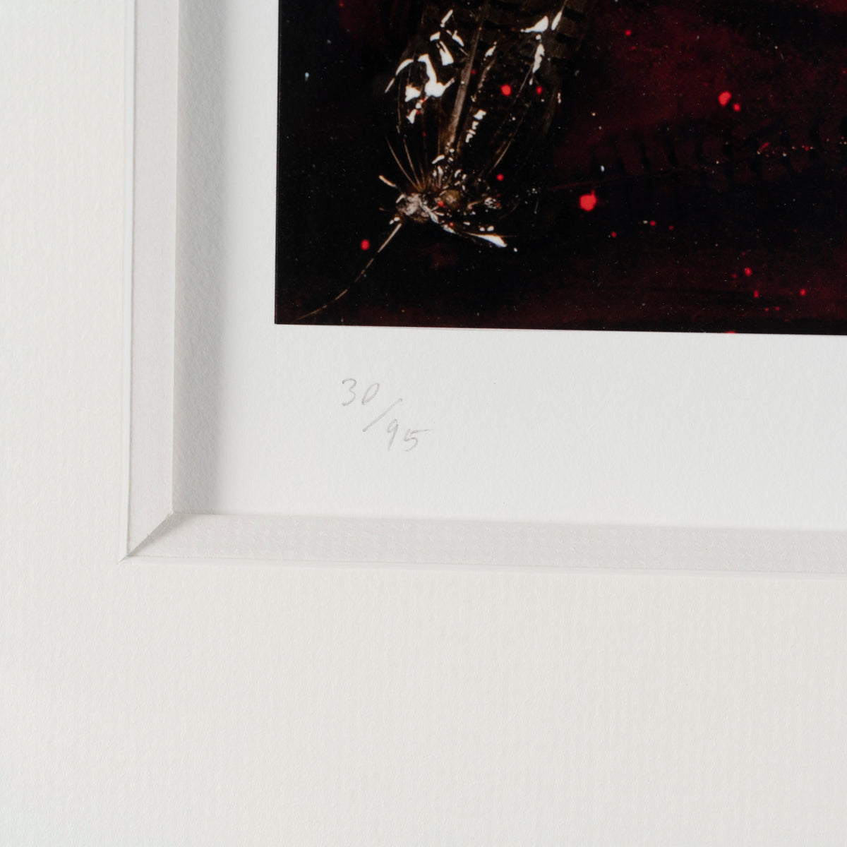 MAZ SLE POR 05997 4 Mexico I 