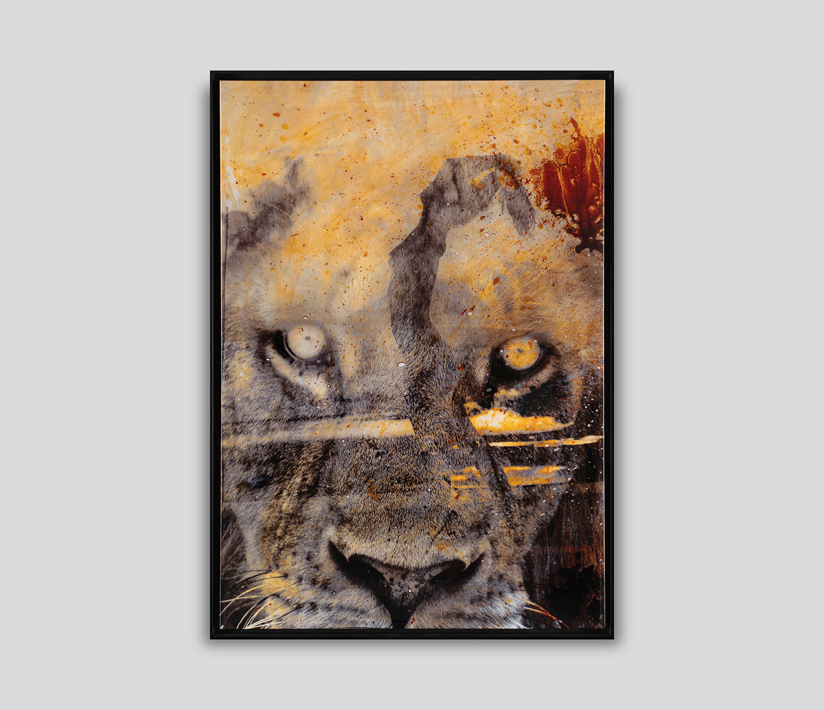 MAZ SLE POR 27808 1 Free Spirit 