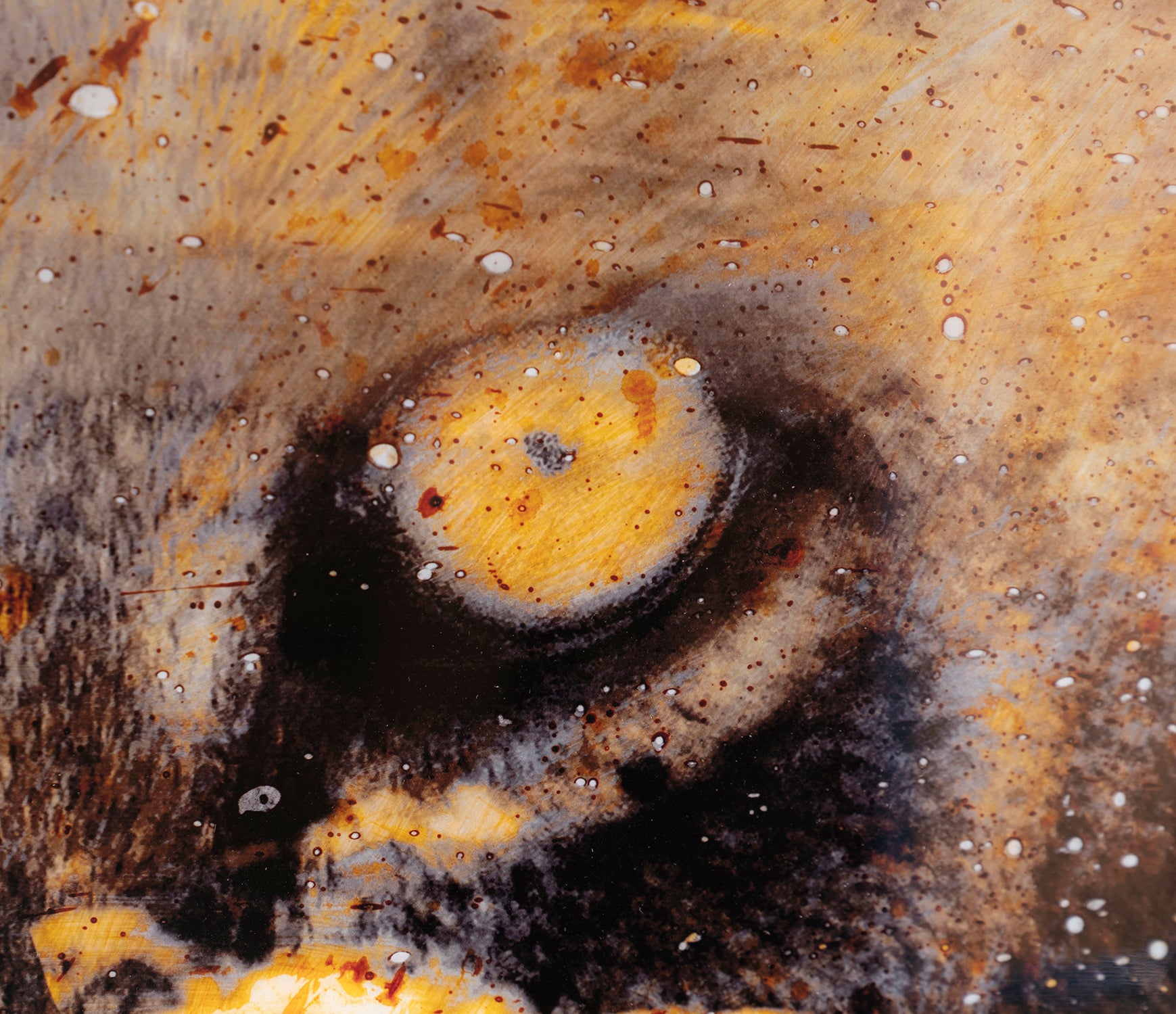 MAZ SLE POR 27808 5 Free Spirit 