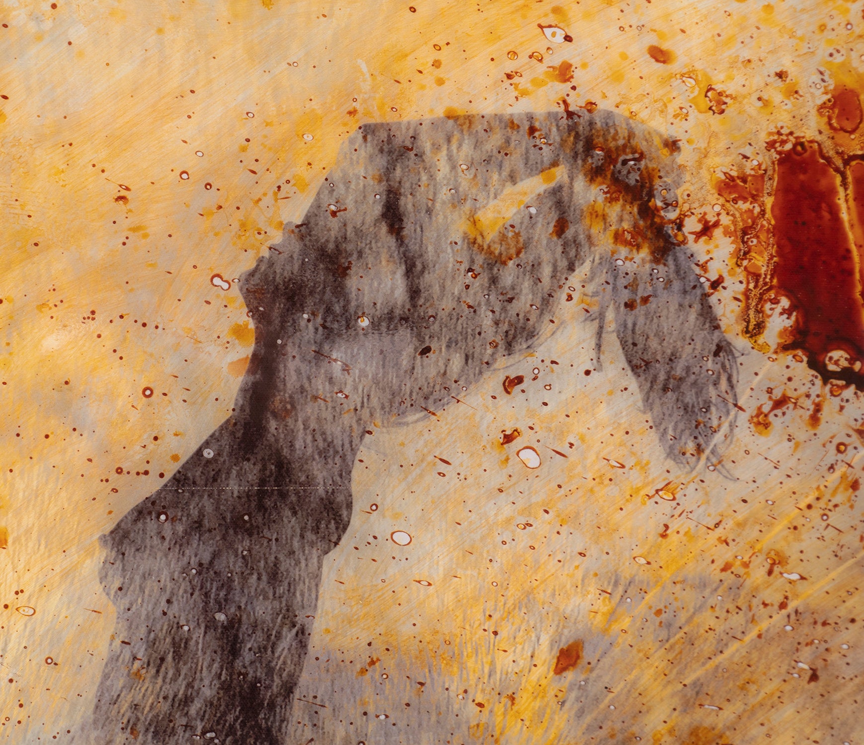 MAZ SLE POR 27808 6 Free Spirit 