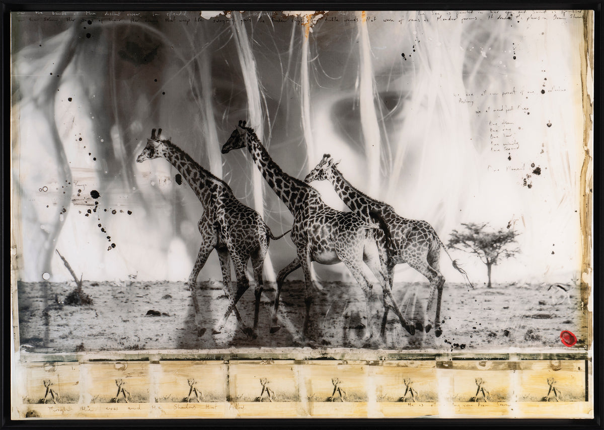 MAZ SLE POR 27809 4 Behind These Eyes 