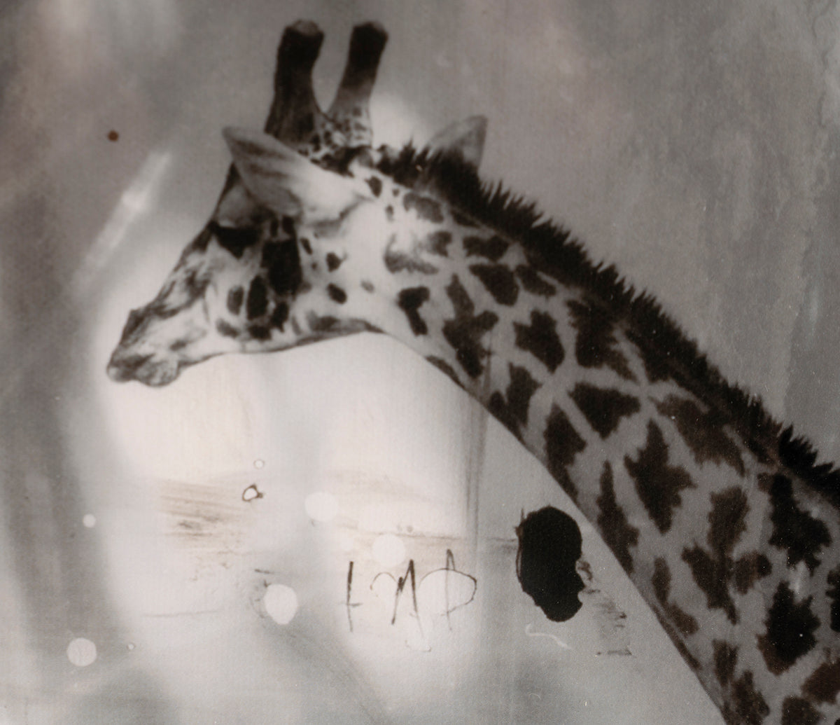 MAZ SLE POR 27809 7 Behind These Eyes 