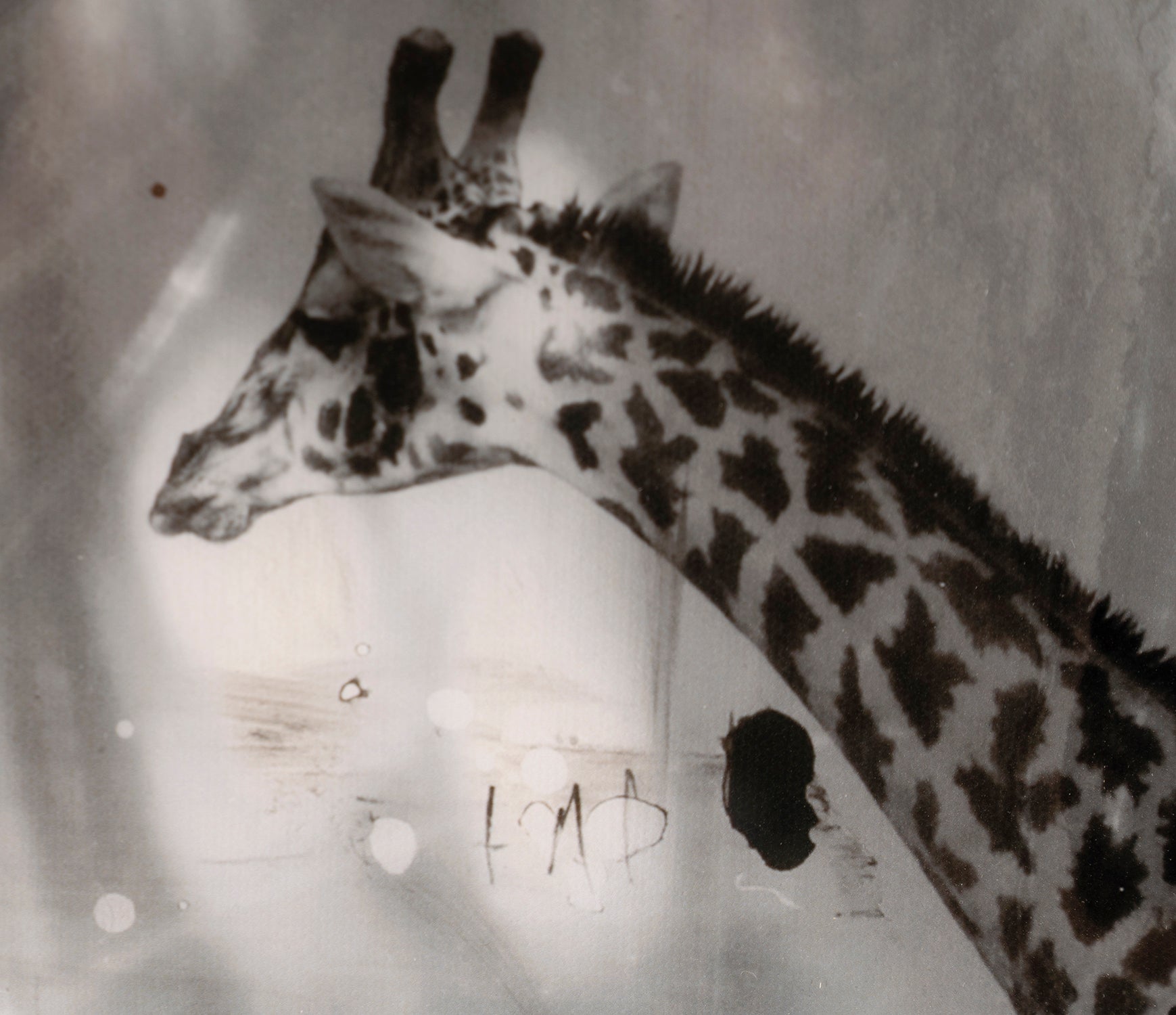 MAZ SLE POR 27809 7 Behind These Eyes 