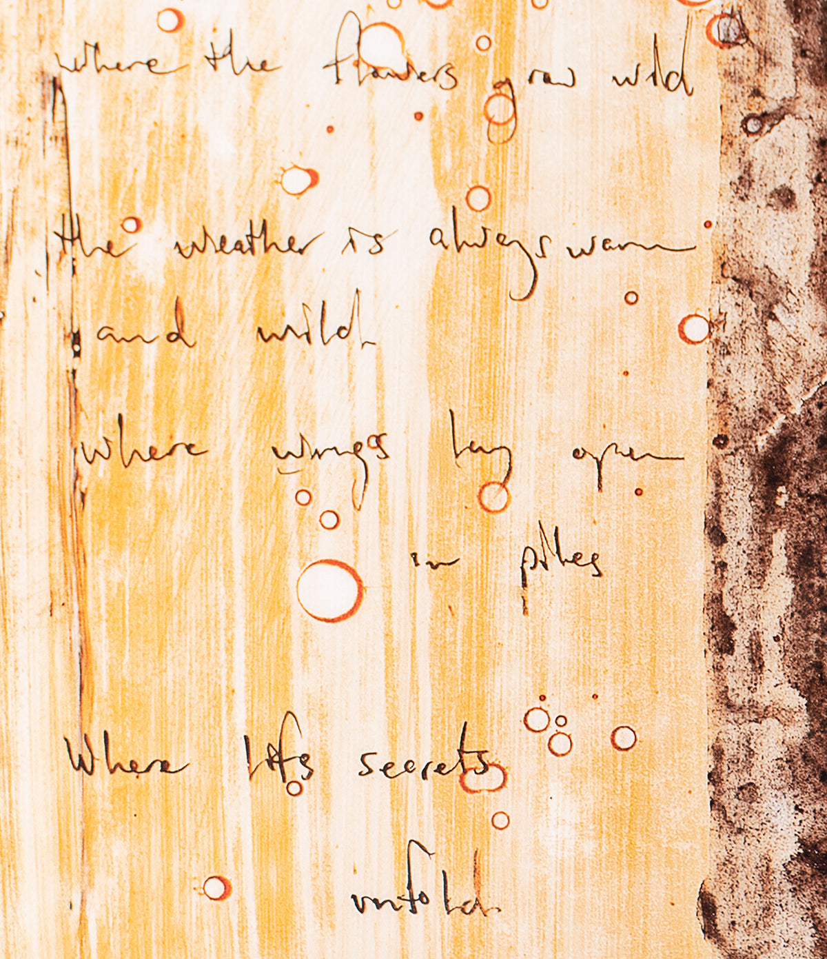 MAZ SLE POR 27811 6 Zebras 