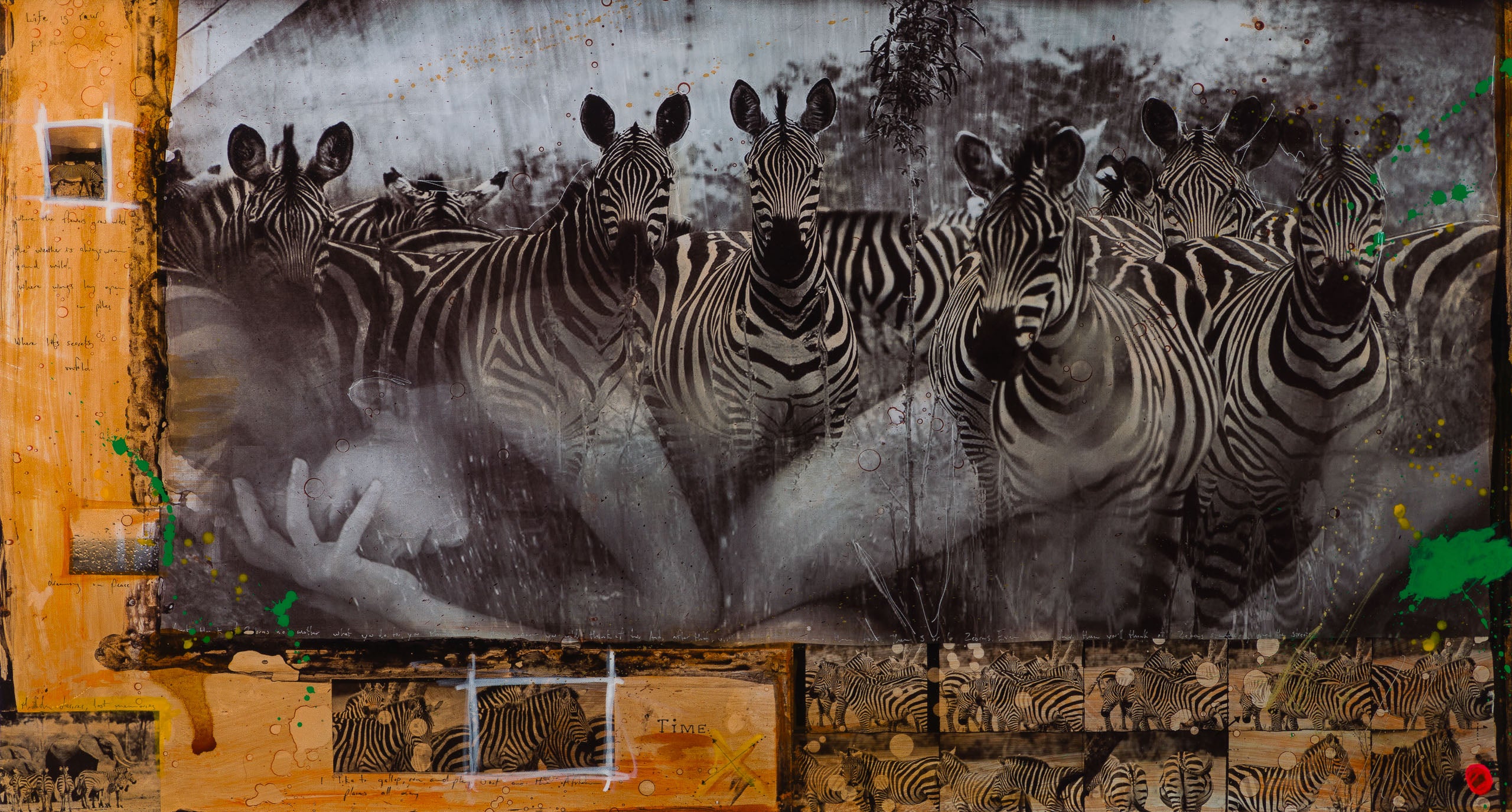 MAZ SLE UNI 31335 Zebras Unique 2 31 