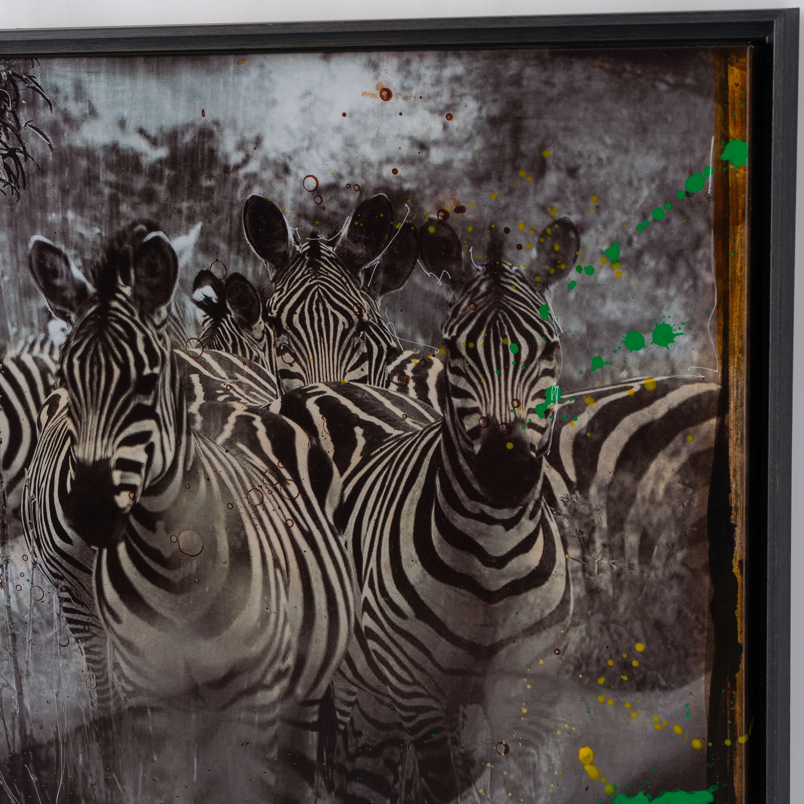 MAZ SLE UNI 31335 Zebras Unique 2 5 