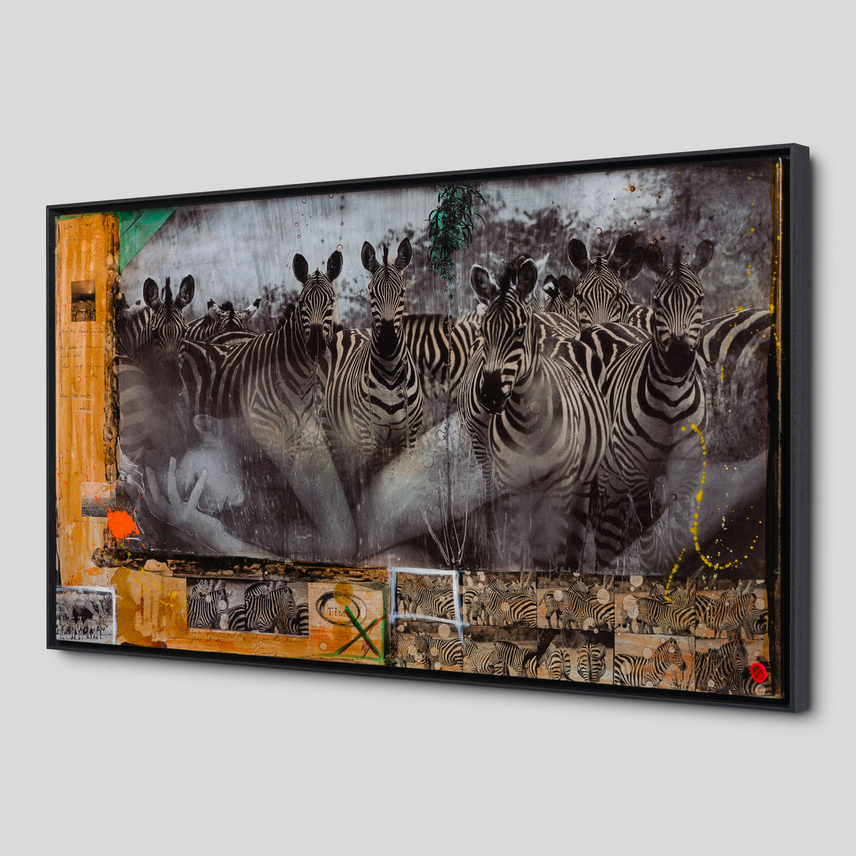 MAZ SLE UNI 31336 Zebras Unique 3 2 