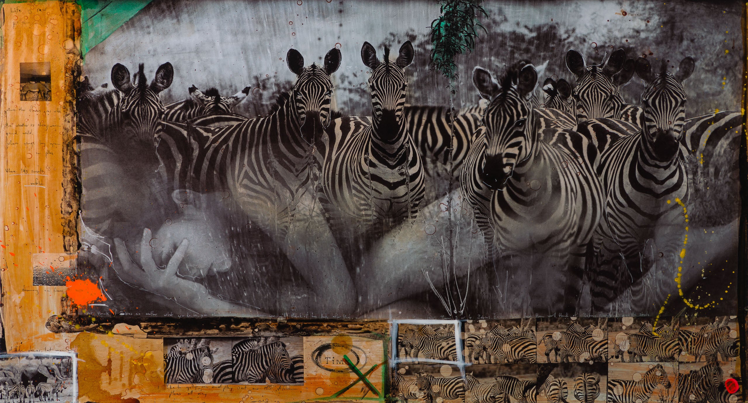 MAZ SLE UNI 31336 Zebras Unique 3 31 