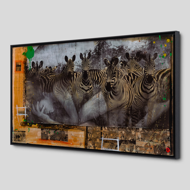 MAZ SLE UNI 31337 Zebras Unique 4 2 