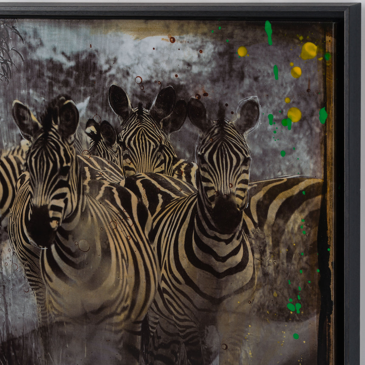 MAZ SLE UNI 31337 Zebras Unique 4 4 