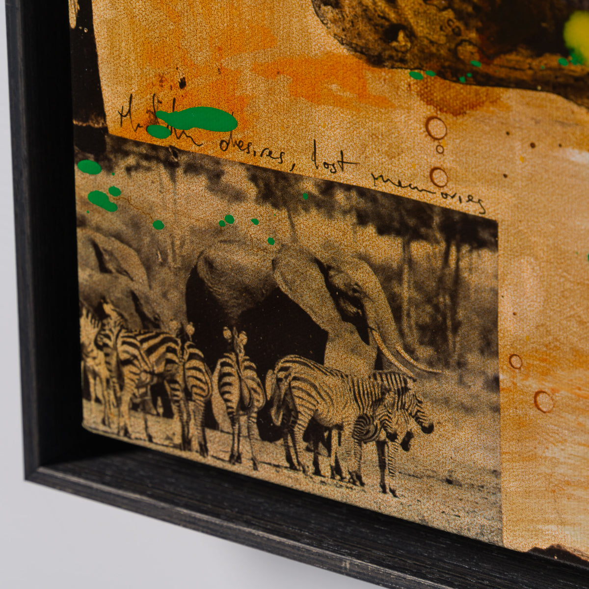 MAZ SLE UNI 31337 Zebras Unique 4 6 