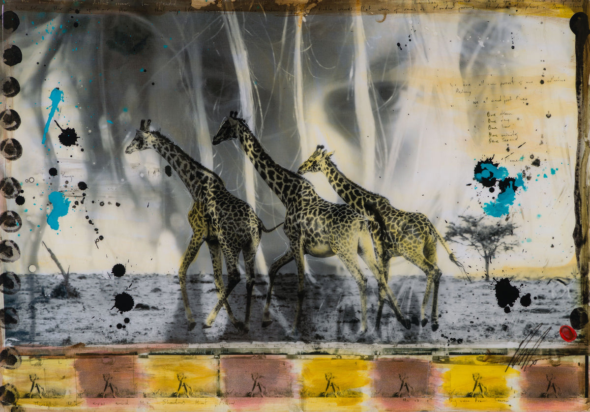 MAZ SLE UNI 31347 Behind These Eyes Unique 2 31 