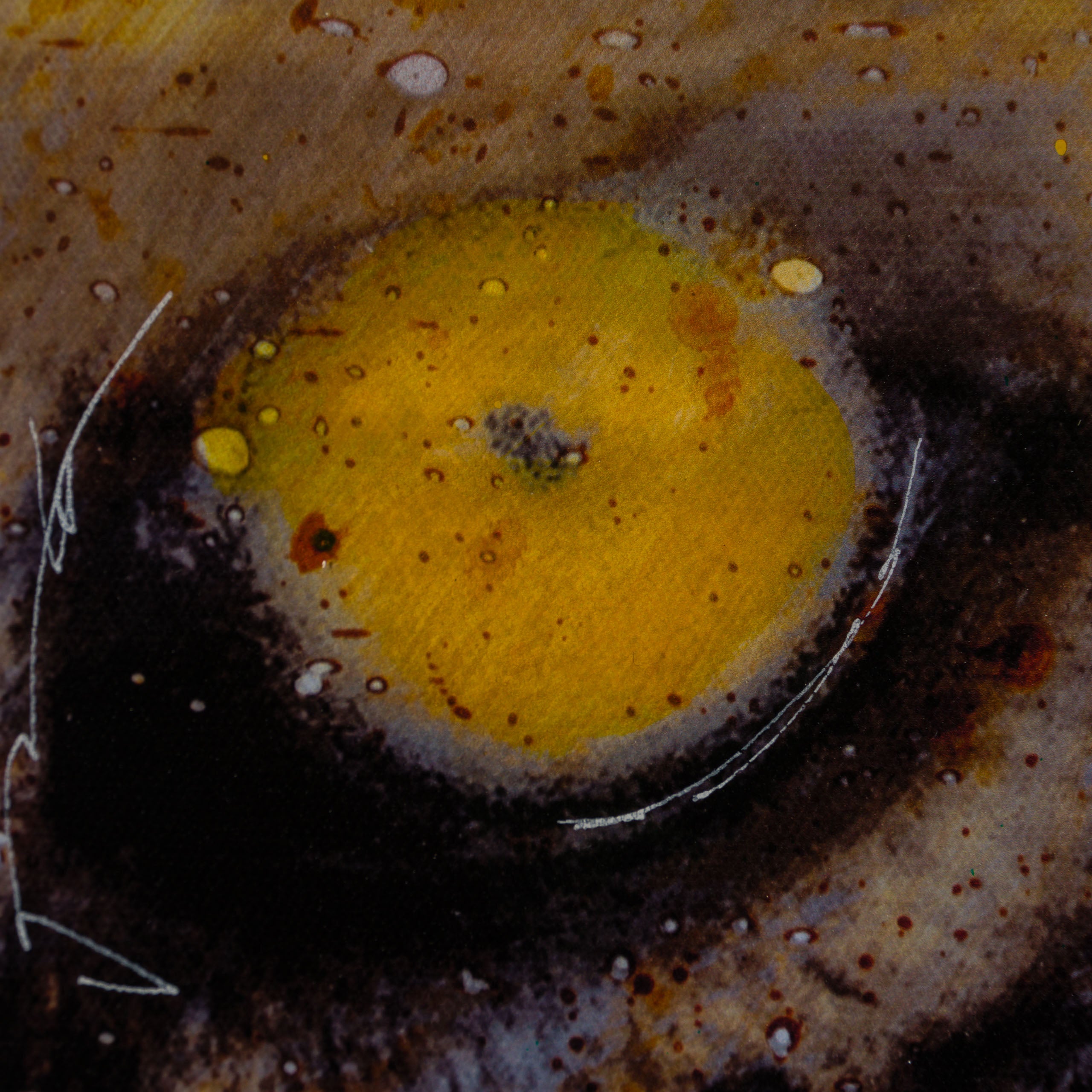 MAZ SLE UNI 31360 Free Spirit Unique 3 6 