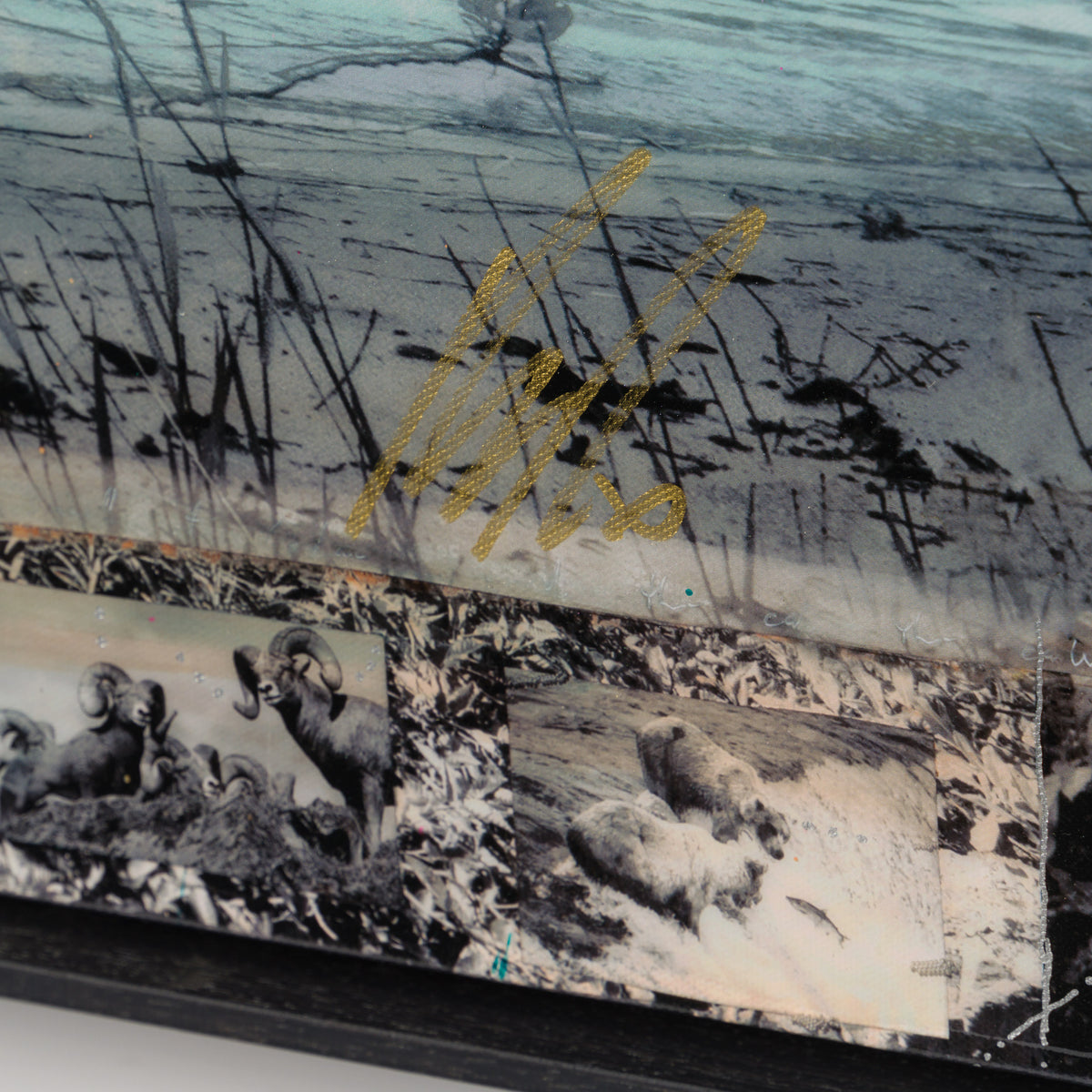 Product image 1 for raphael-mazzucco-motherland-unique-Seven