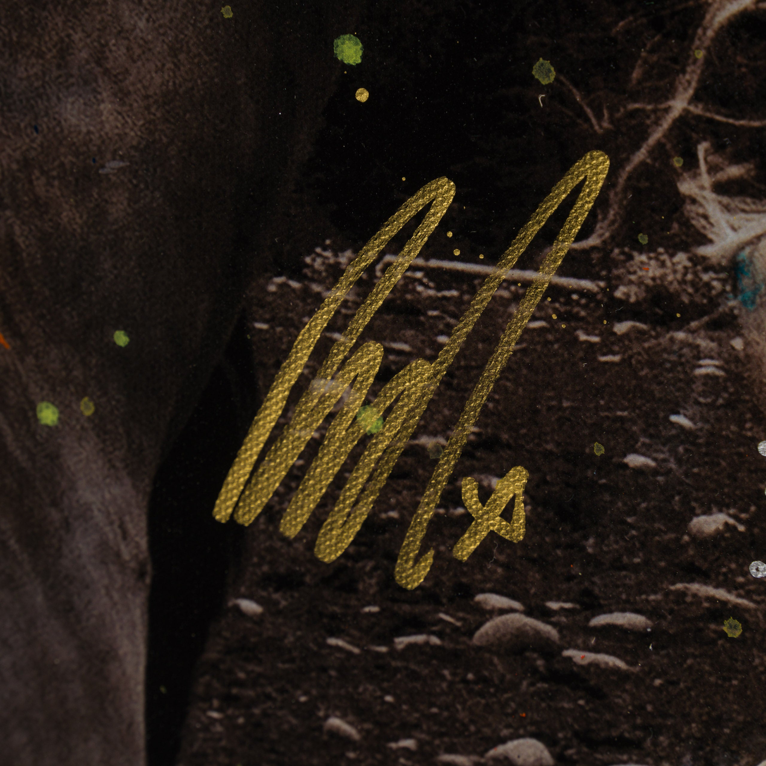 MAZ SLE UNI 33919 Guide Me Home Unique 6 3 