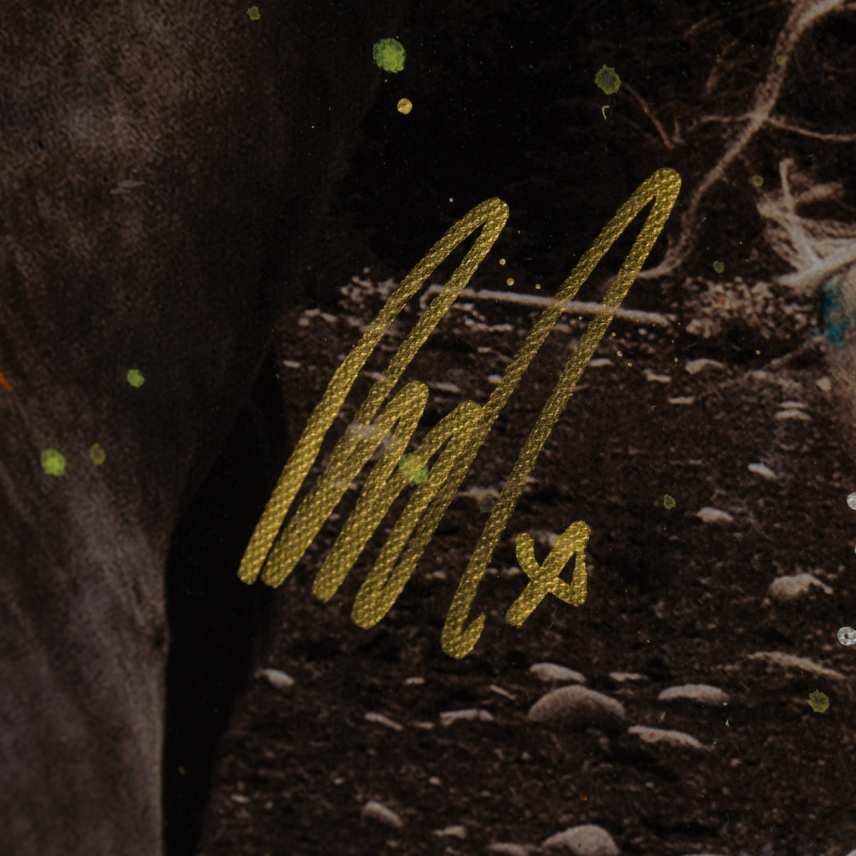 Product image 2 for raphael-mazzucco-guide-me-home-unique-Six