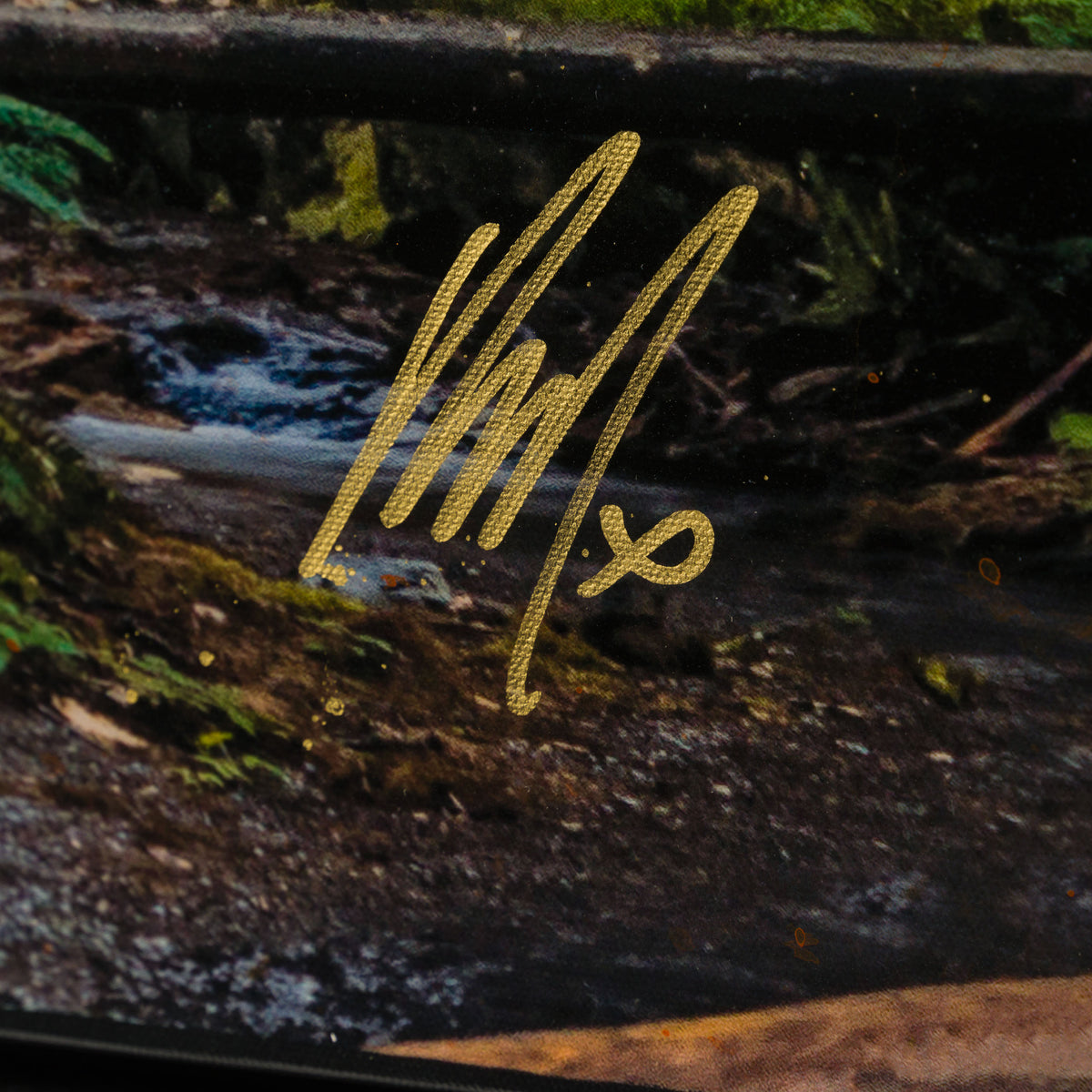 Product image 2 for raphael-mazzucco-mossy-abandon-unique-one