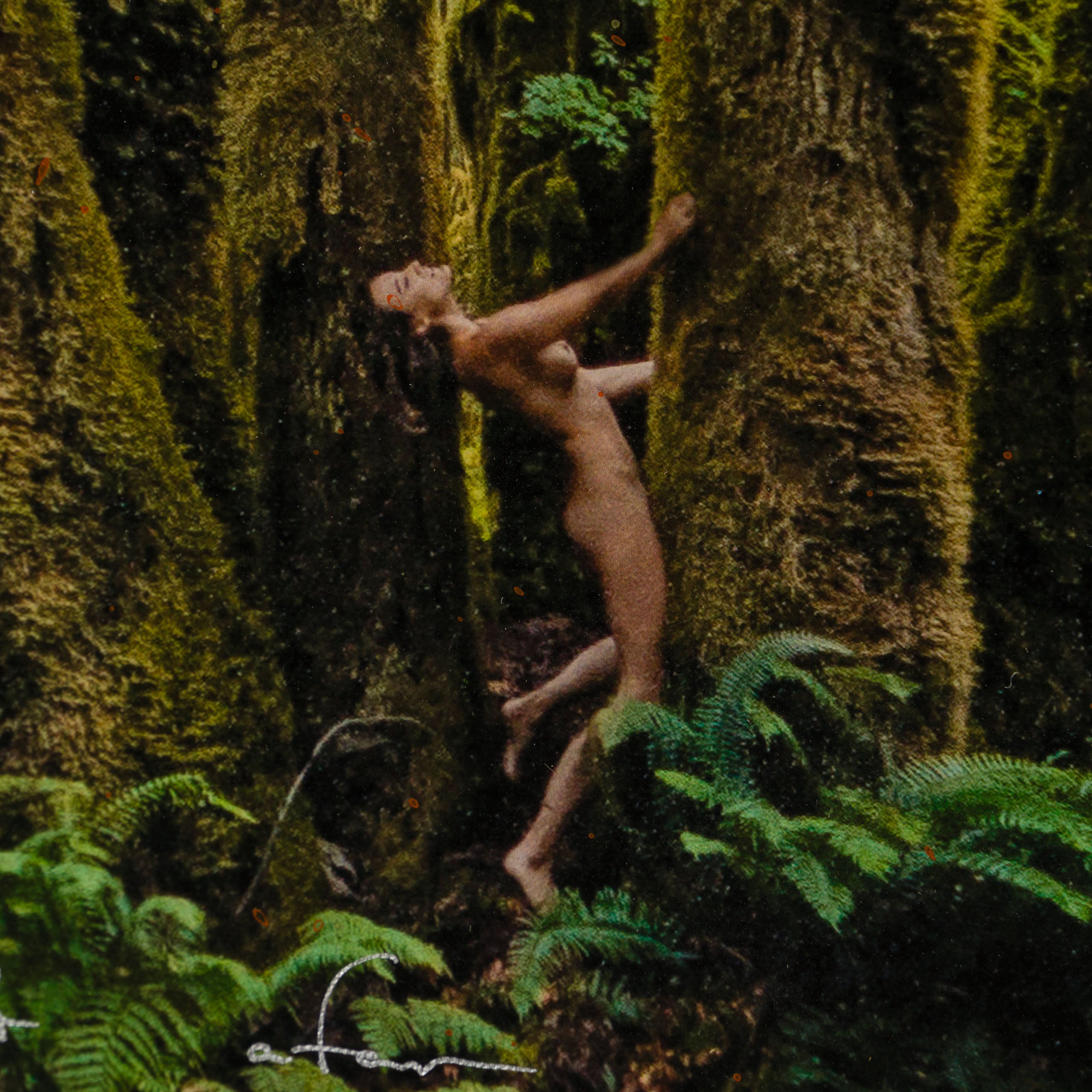 MAZ SLE UNI 33920 Mossy Abandon Unique 1 4 