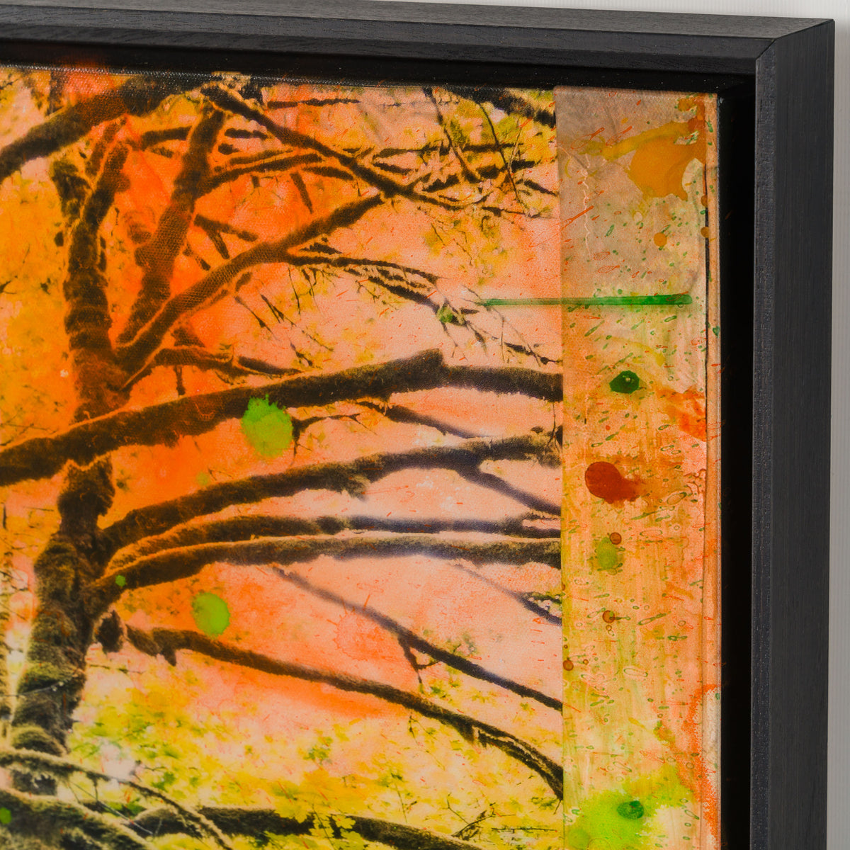 MAZ SLE UNI 33920 Mossy Abandon Unique 1 6 