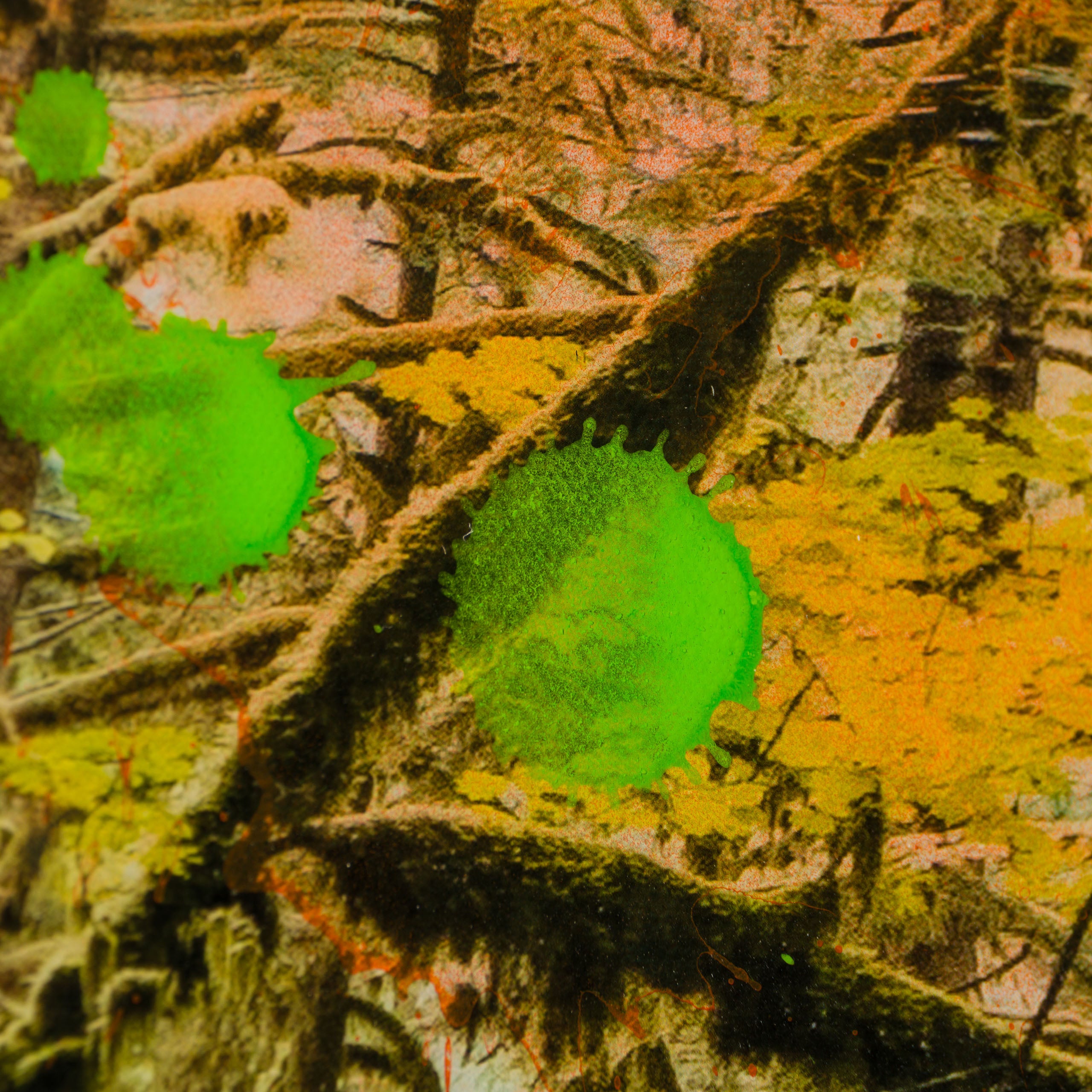 Product image 1 for raphael-mazzucco-mossy-abandon-unique-one