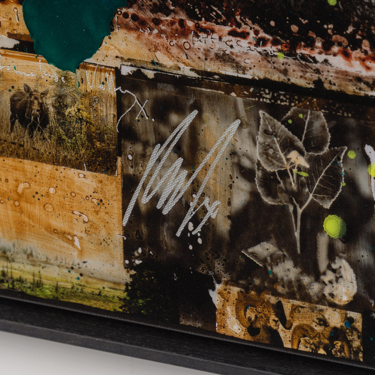 MAZ SLE UNI 33922 Homeward Bound Unique 6 3 