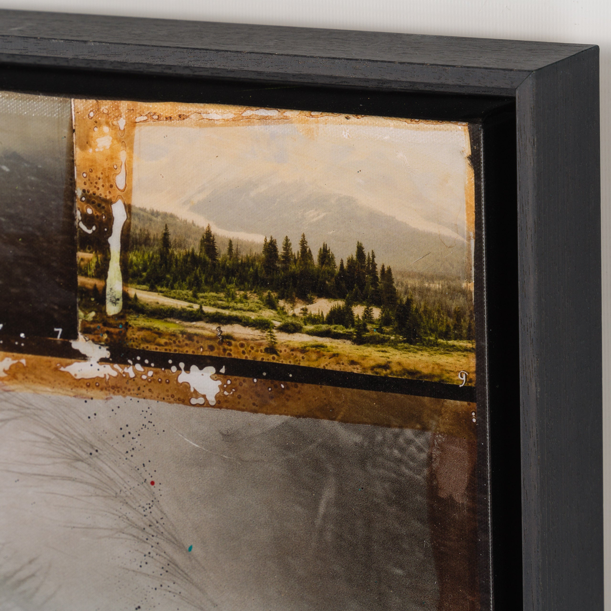 MAZ SLE UNI 33922 Homeward Bound Unique 6 5 