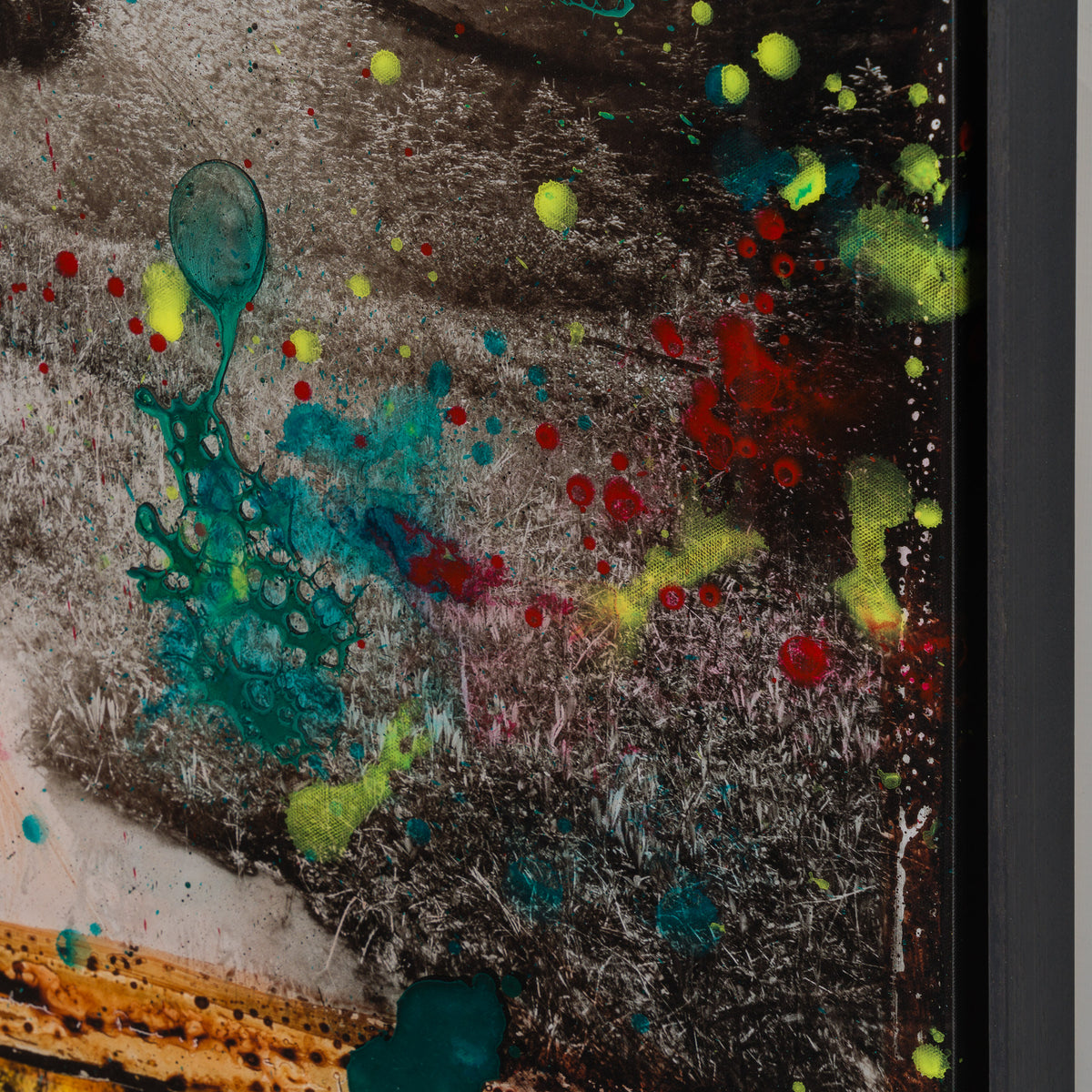 MAZ SLE UNI 33922 Homeward Bound Unique 6 6 