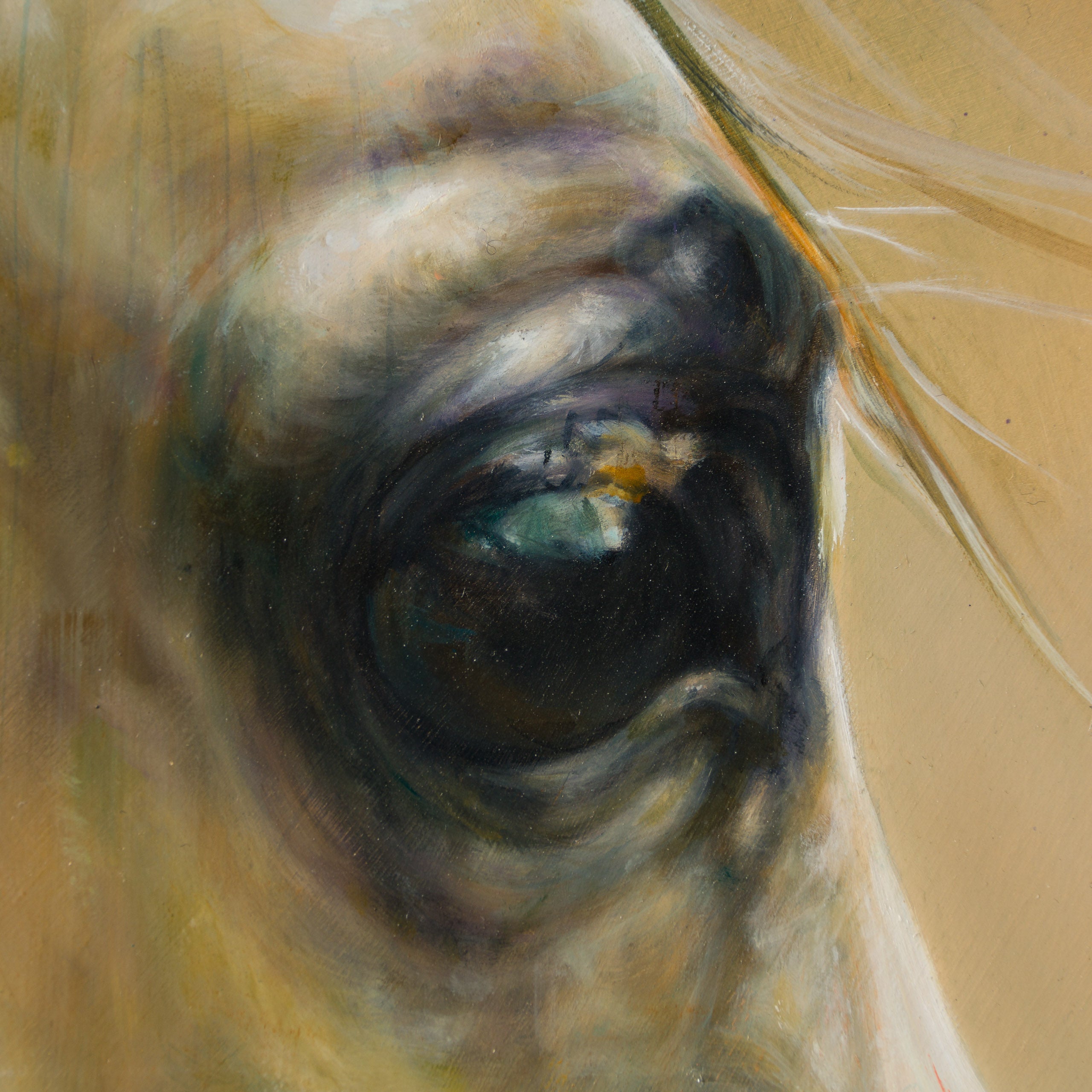 MHA ORI WWL 33897 Honour 4 