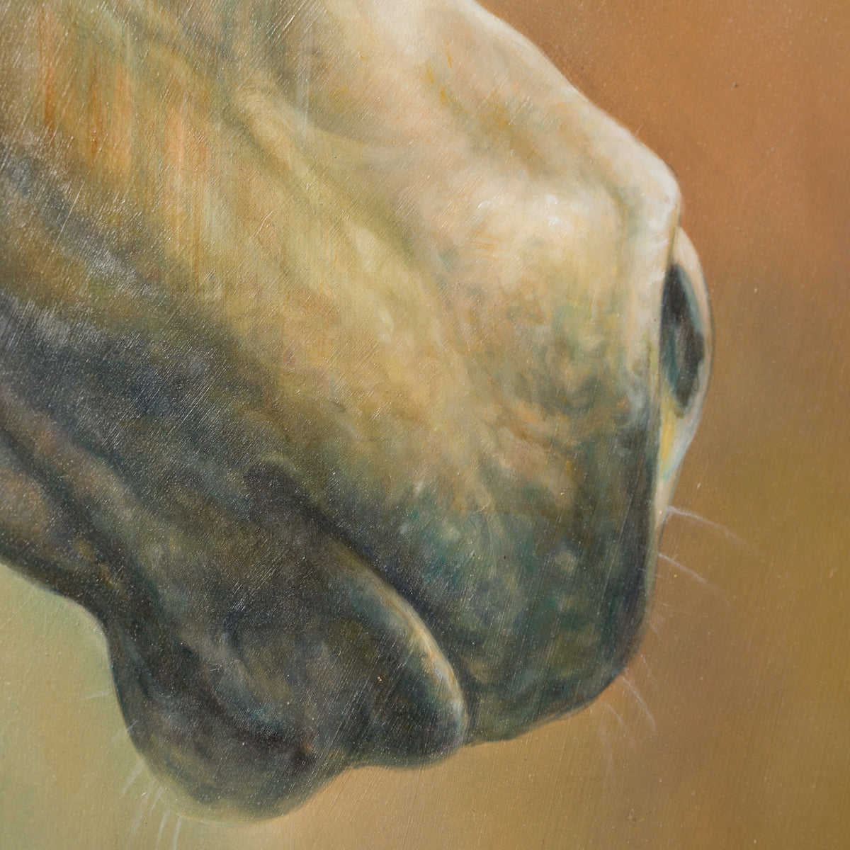 MHA ORI WWL 33897 Honour 6 