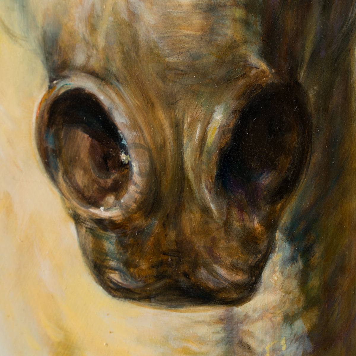 MHA ORI WWL 33899 Palamino 5 